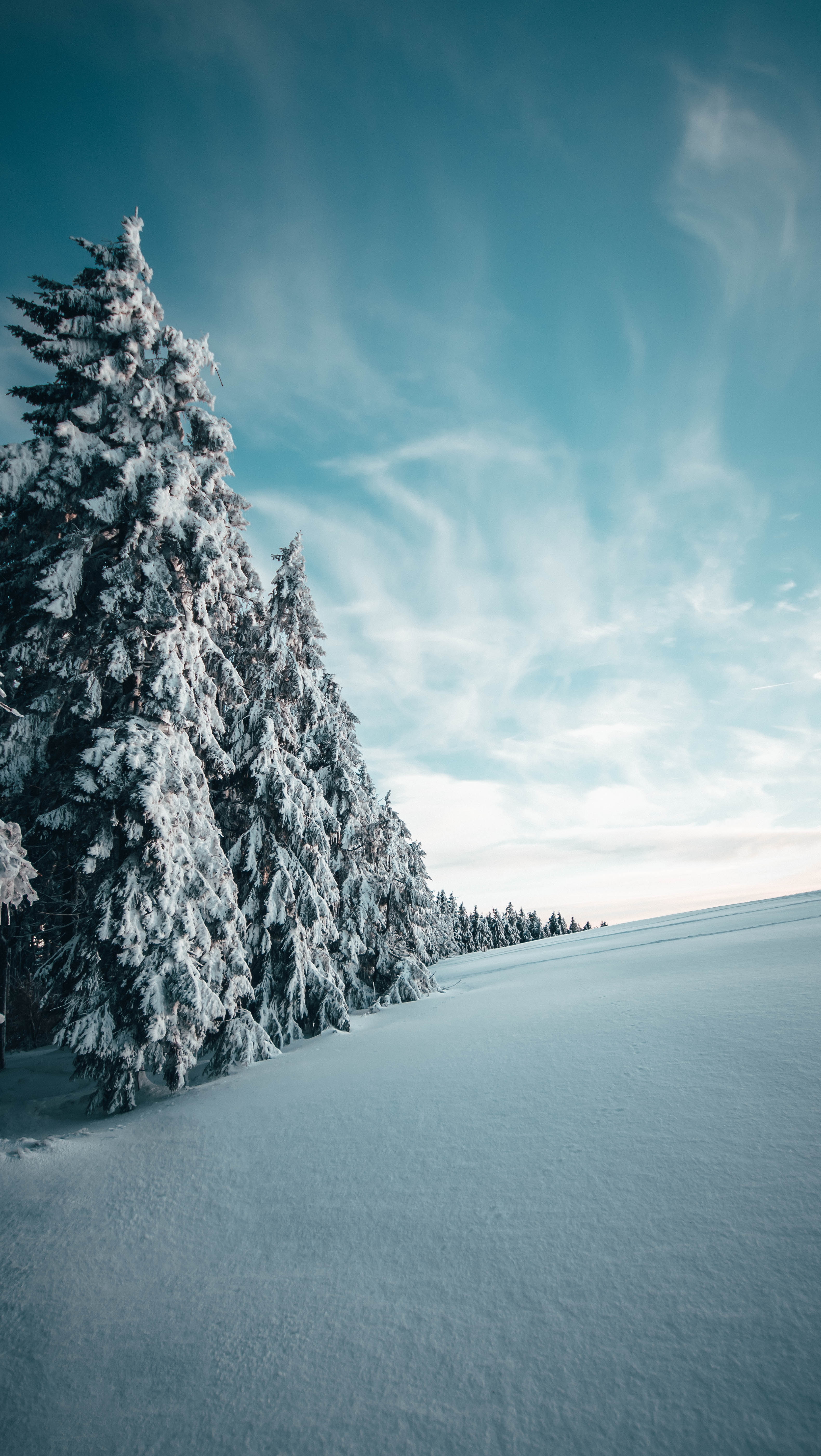 154134壁紙のダウンロード風景, 冬, 自然, 木, 雪, 雪に覆われた, 積雪, 食べた-スクリーンセーバーと写真を無料で