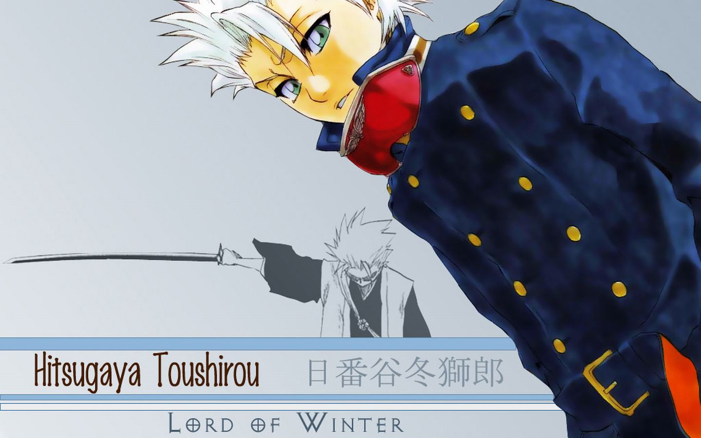 Laden Sie das Tōshirō Hitsugaya, Bleach, Animes-Bild kostenlos auf Ihren PC-Desktop herunter