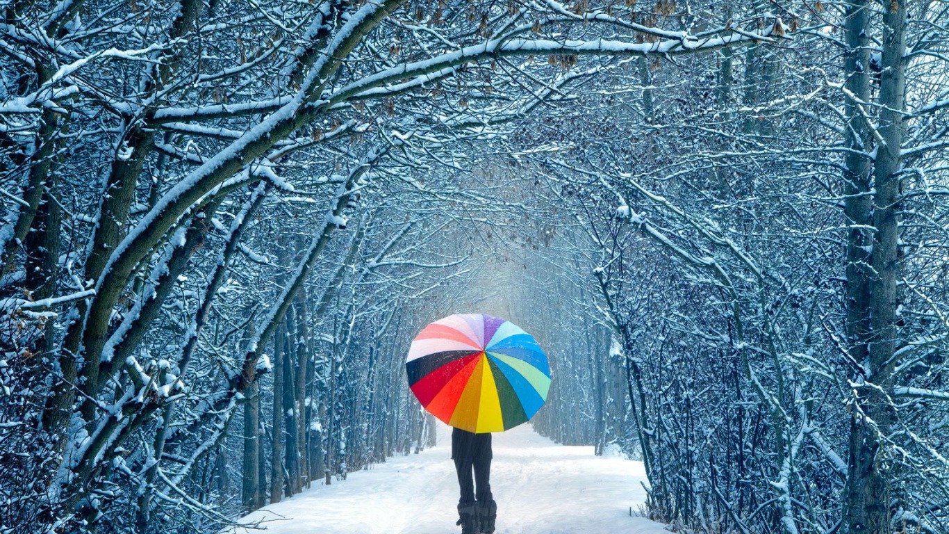Laden Sie das Regenschirm, Fotografie-Bild kostenlos auf Ihren PC-Desktop herunter