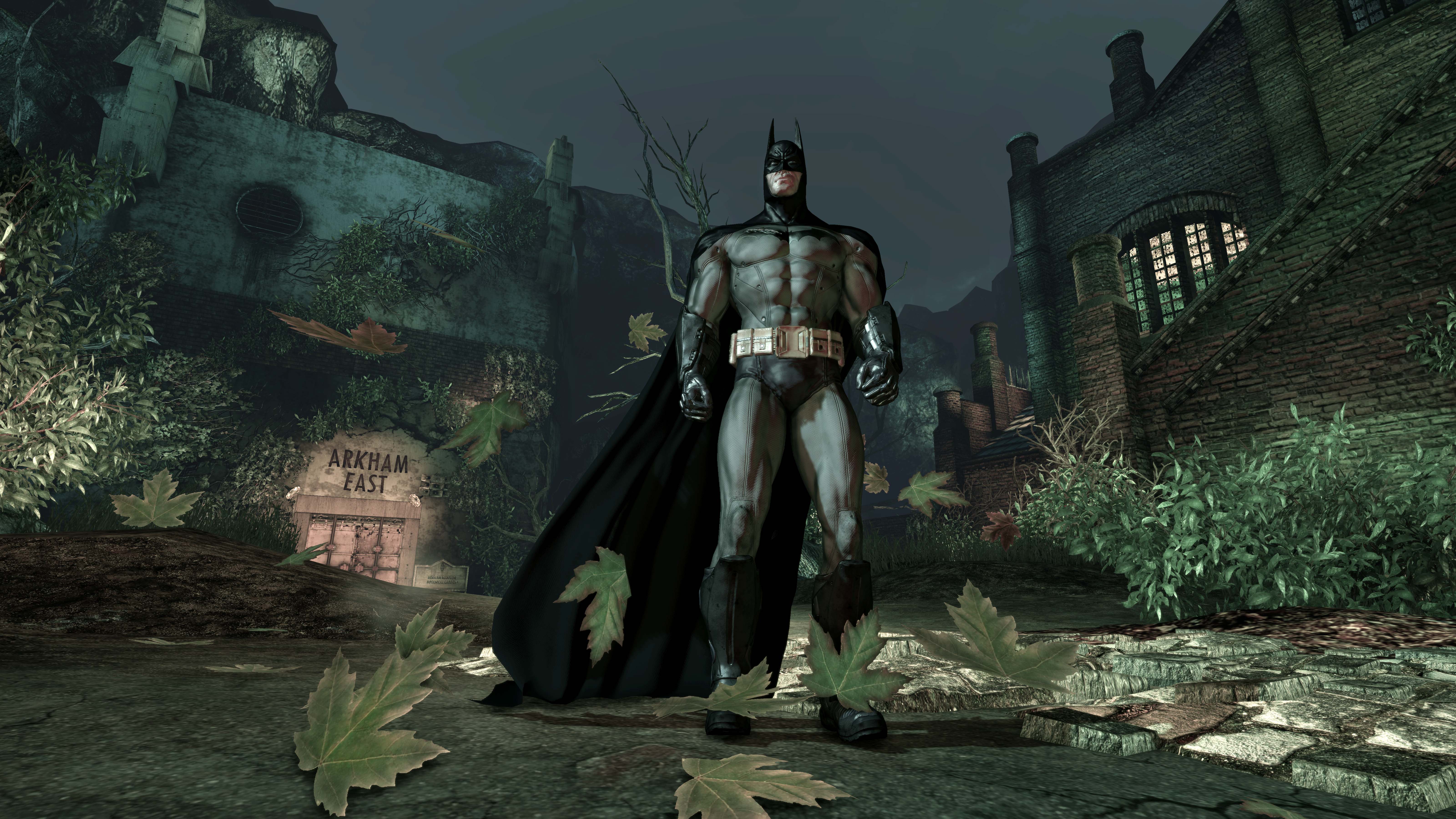 video game, batman: arkham asylum, batman