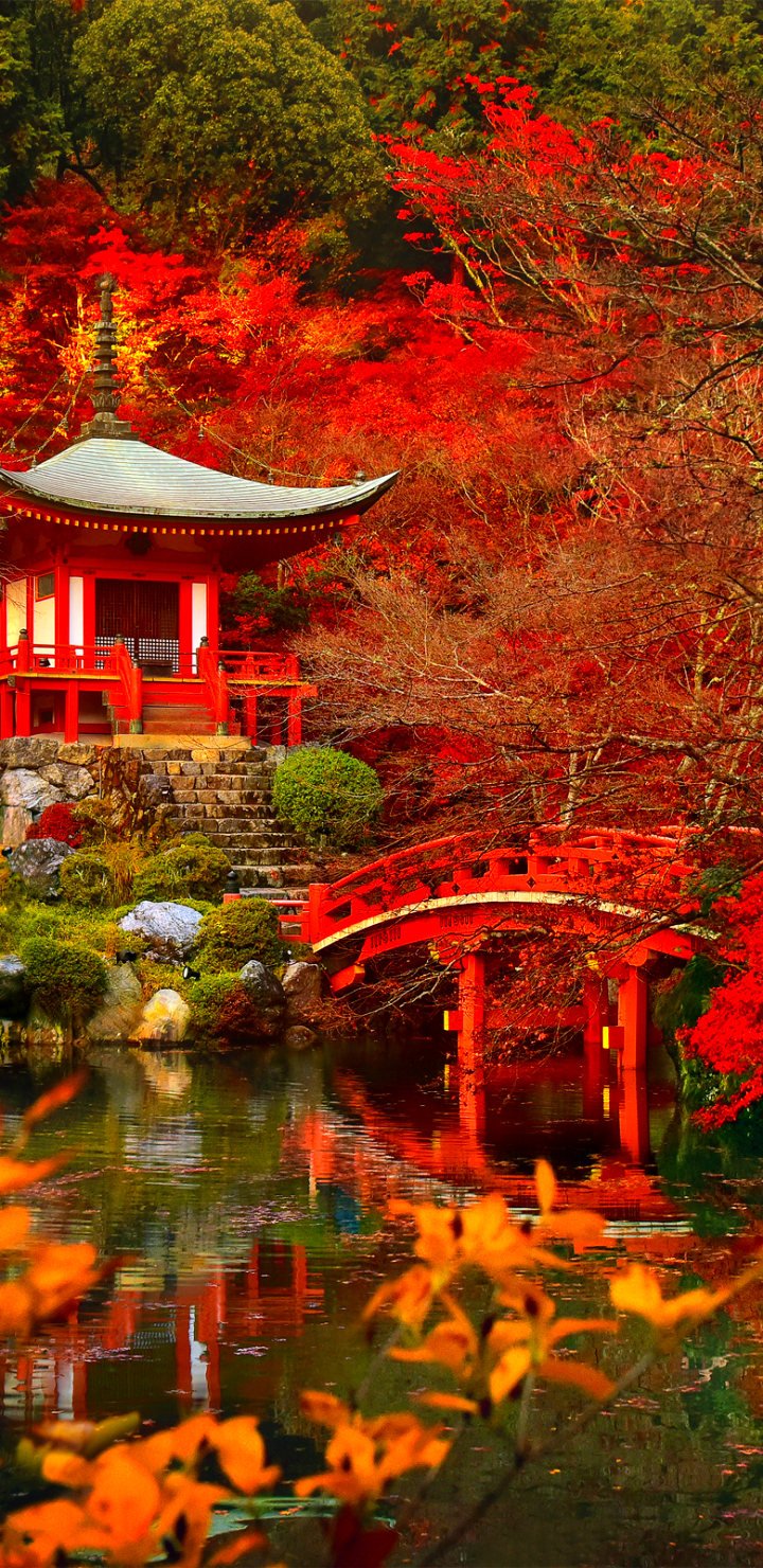 Baixar papel de parede para celular de Natureza, Outono, Cair, Ponte, Pagode, Japão, Templos, Quioto, Religioso, Daigo Ji gratuito.