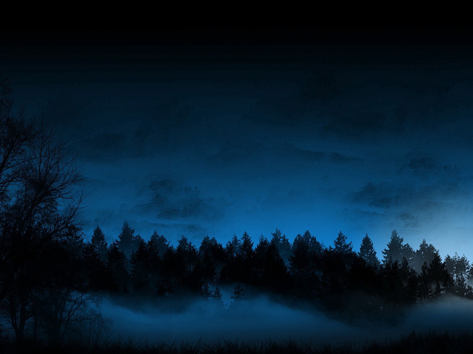 Download mobile wallpaper Ate, Fog, Trees, Night, Dark for free.