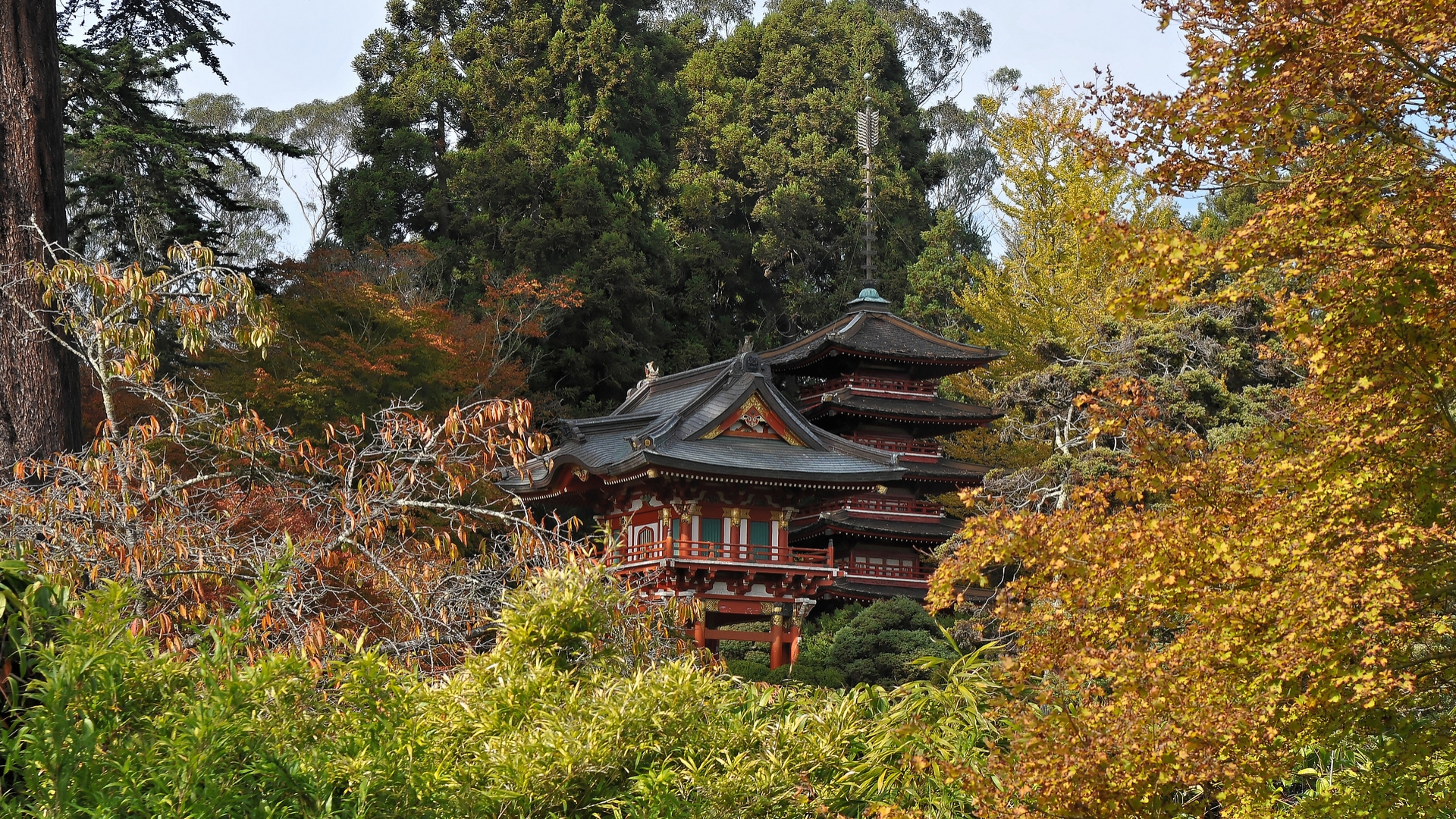 662552 Bild herunterladen menschengemacht, golden gate park - Hintergrundbilder und Bildschirmschoner kostenlos