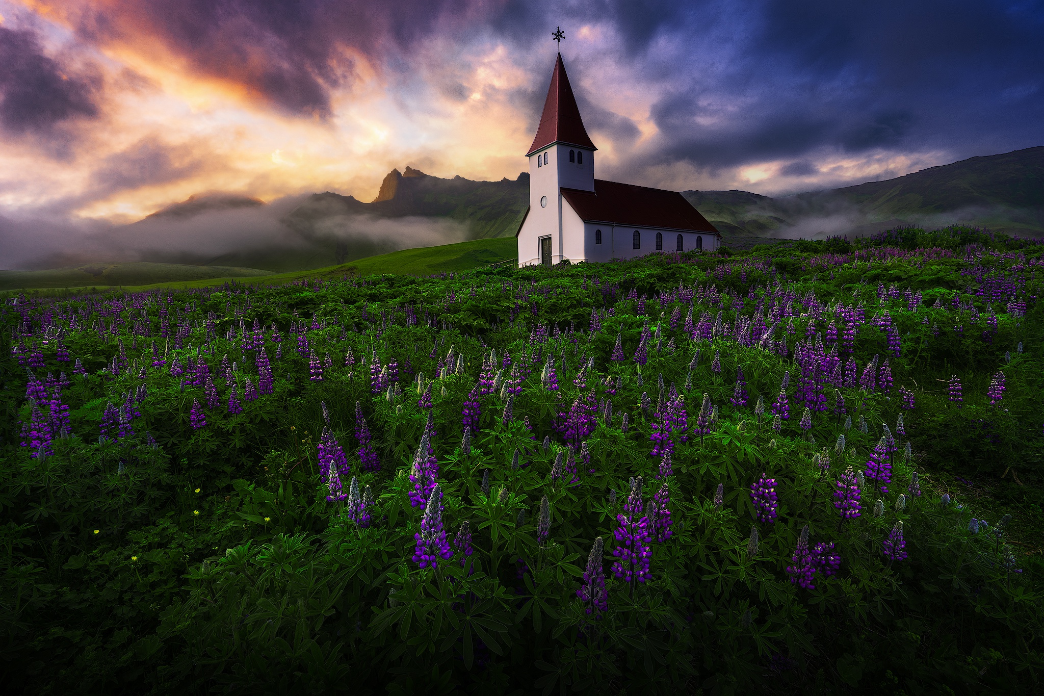 Laden Sie das Natur, Gebäude, Island, Kirche, Kirchen, Lila Blume, Religiös-Bild kostenlos auf Ihren PC-Desktop herunter