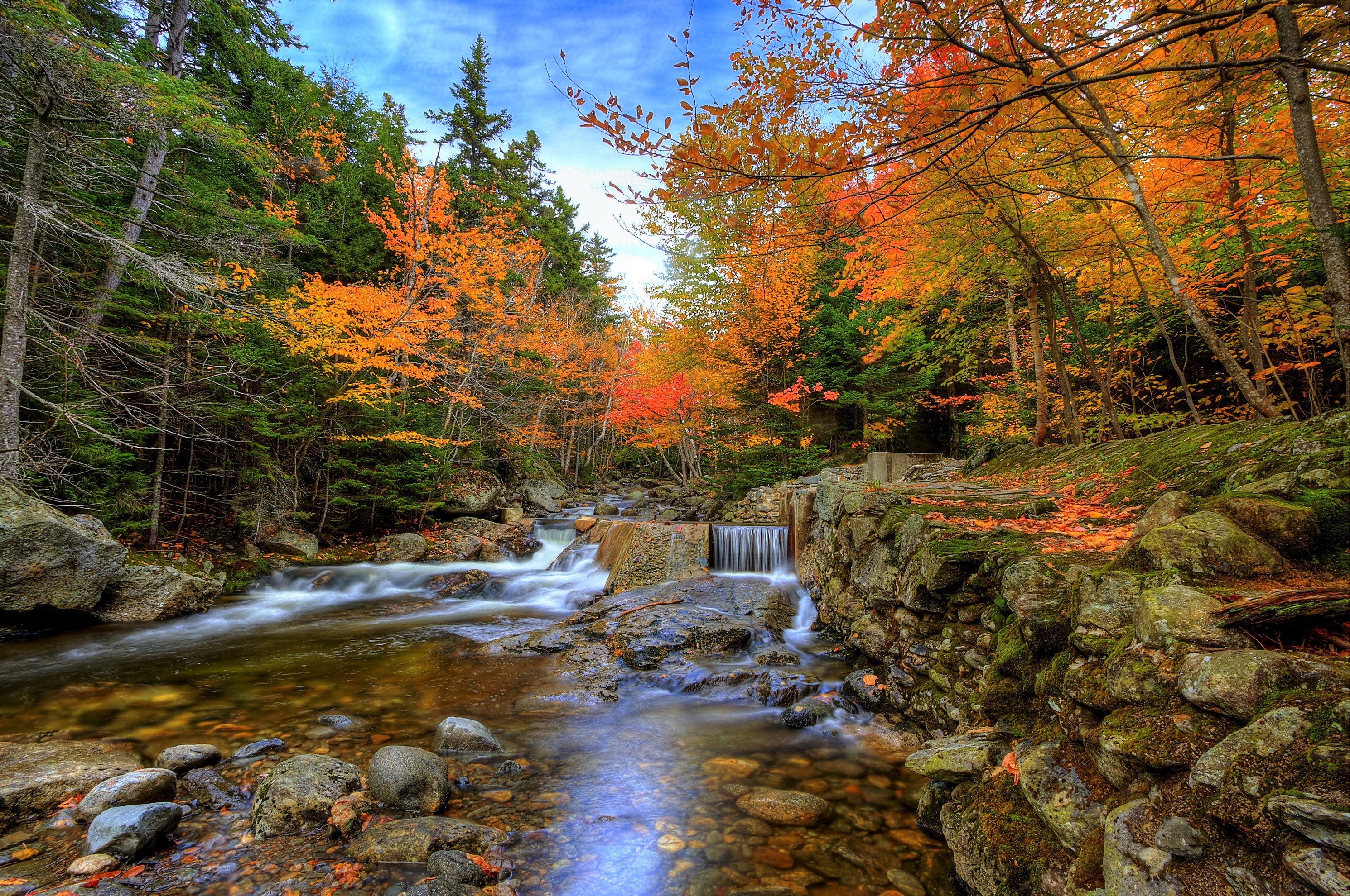 Скачать картинку Осень, Водопады, Водопад, Лес, Дерево, Ручей, Земля/природа в телефон бесплатно.