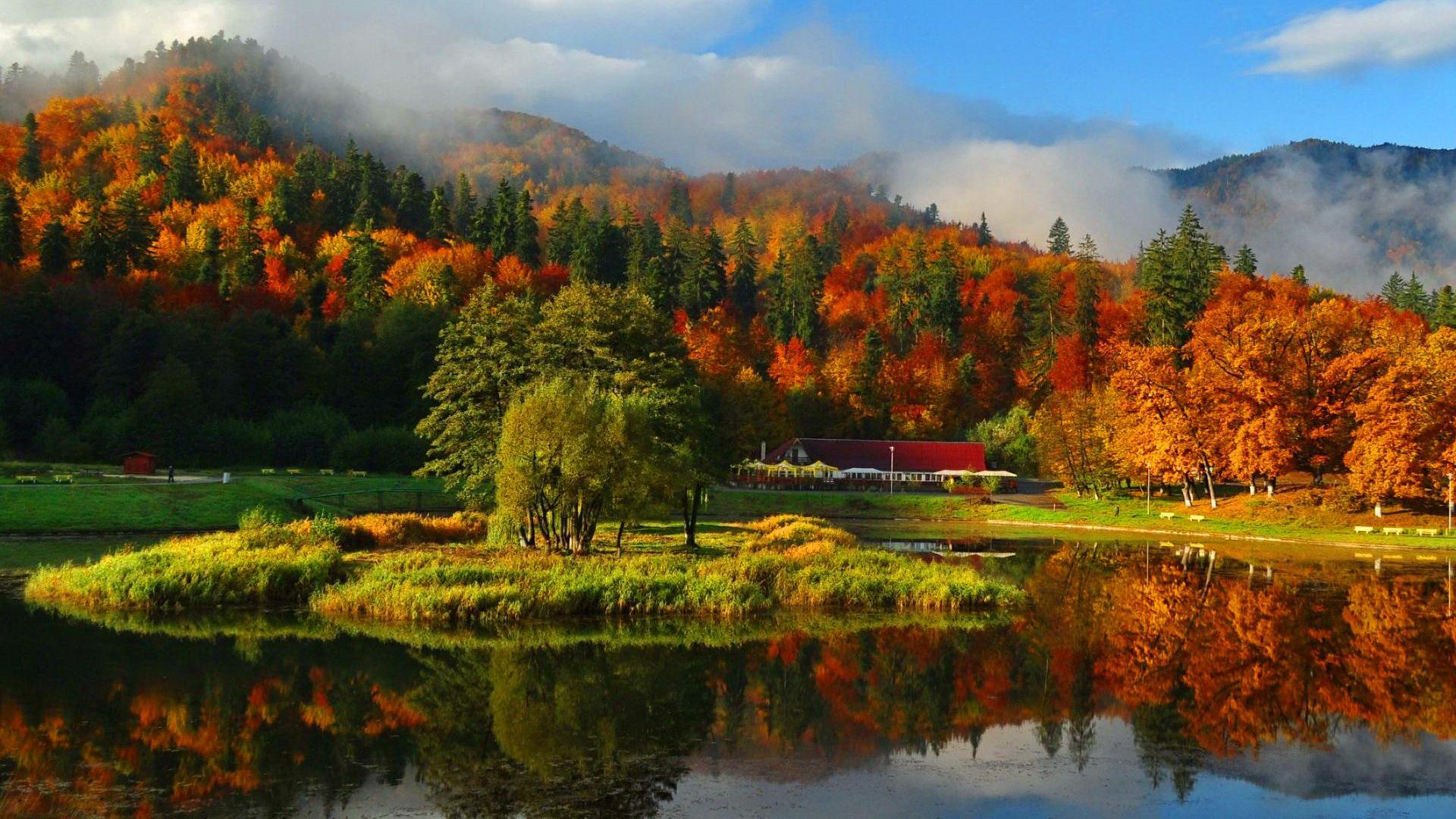 Laden Sie das Herbst, See, Wald, Nebel, Erde, Teich, Wolke, Fotografie-Bild kostenlos auf Ihren PC-Desktop herunter