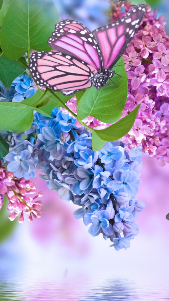 Download mobile wallpaper Flowers, Lilac, Flower, Earth, Butterfly, Spring, Pink Flower, Blue Flower for free.