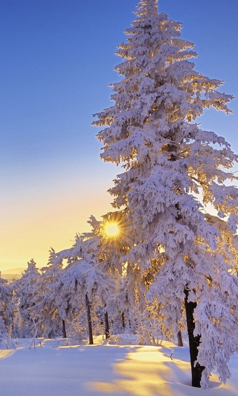 Download mobile wallpaper Winter, Earth for free.