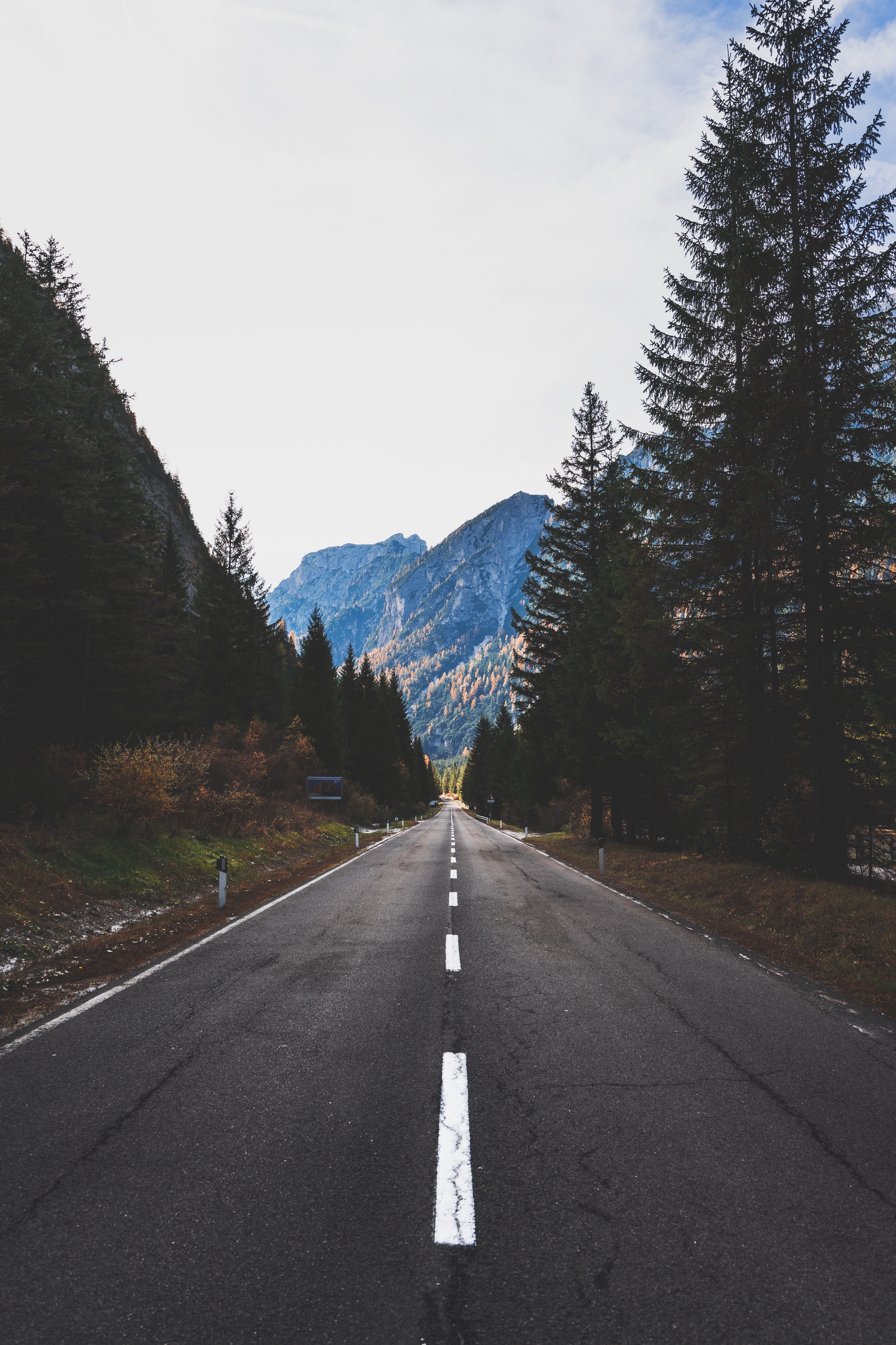 Download mobile wallpaper Markup, Trees, Road, Nature, Mountains for free.