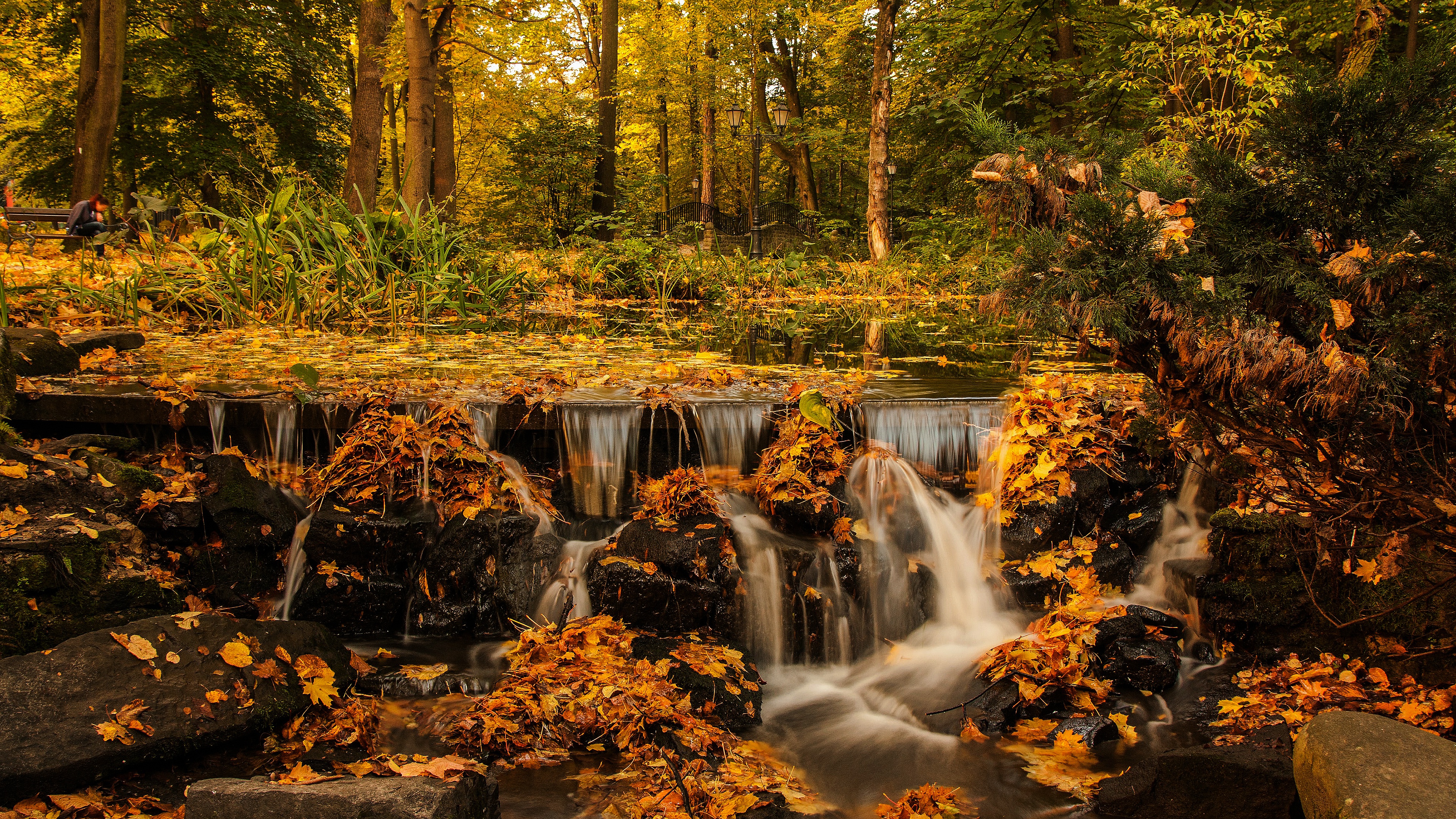 Скачать картинку Осень, Водопады, Водопад, Ручей, Земля/природа в телефон бесплатно.