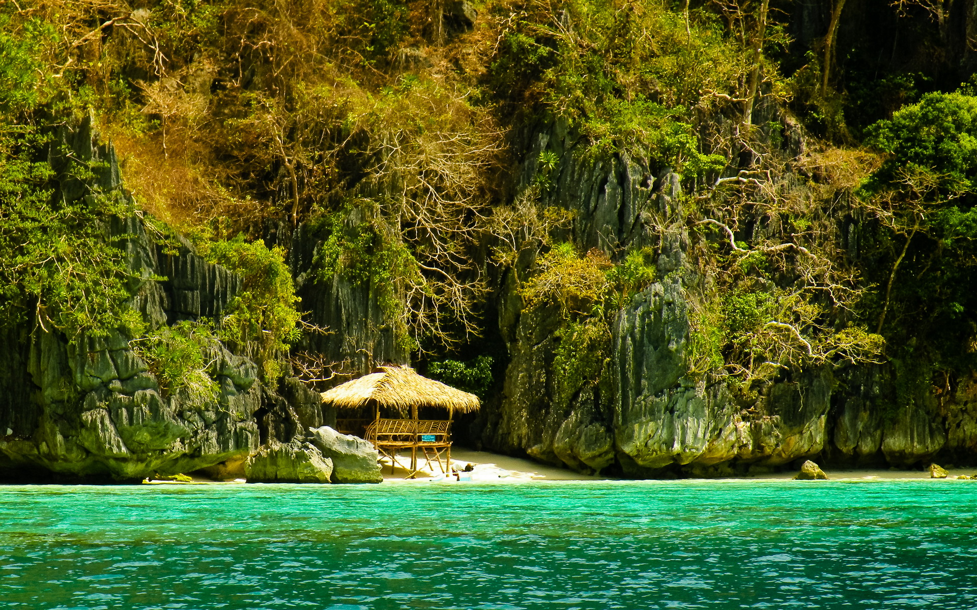 Descarga gratis la imagen Playa, Selva, Tierra/naturaleza, Tropico en el escritorio de tu PC