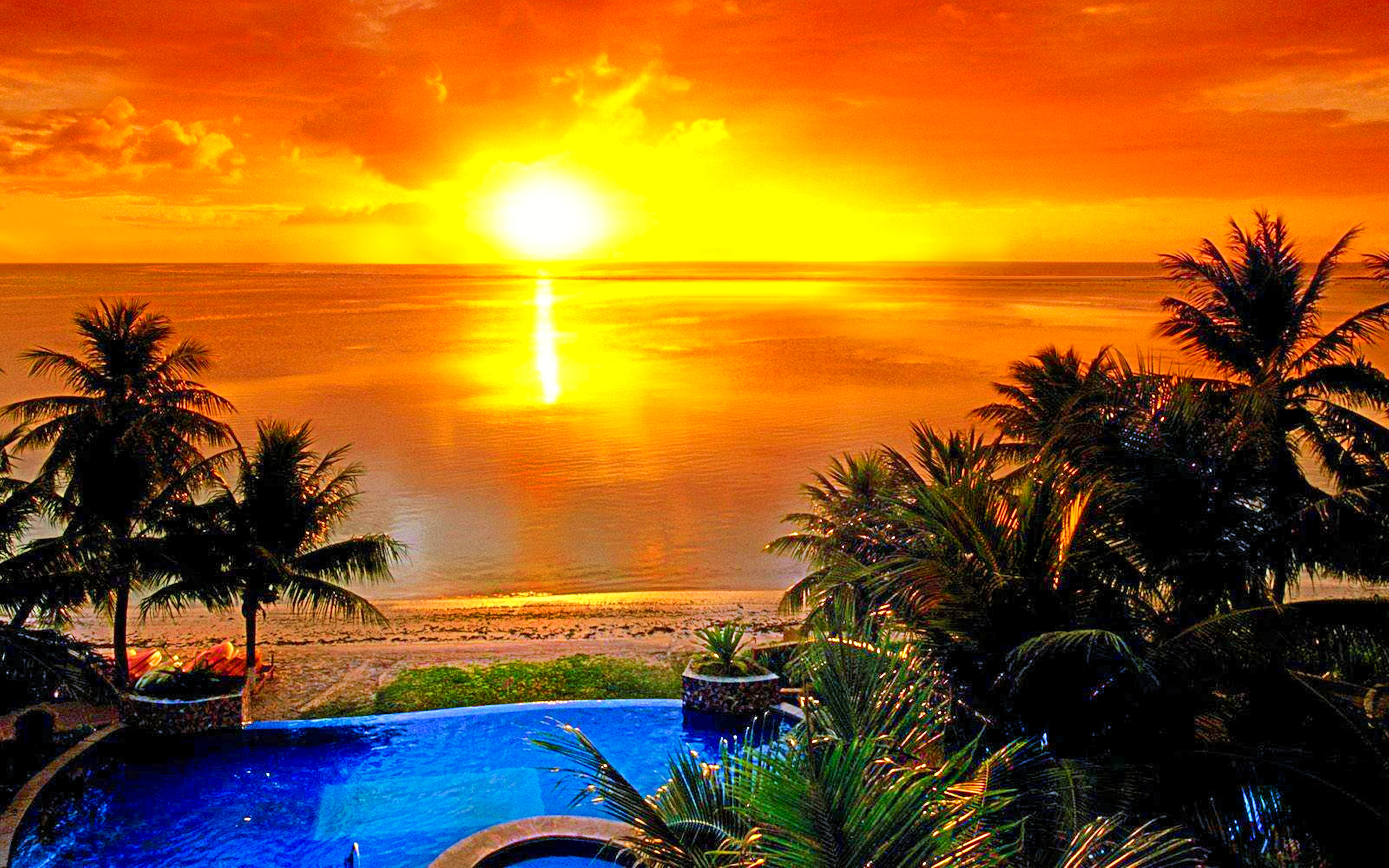 1496360 télécharger l'image palmier, plage, horizon, réflexion, coucher de soleil, photographie, été, coloré, ensoleillé, tropical - fonds d'écran et économiseurs d'écran gratuits