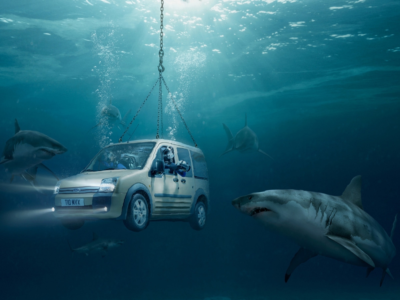 sharks, funny, auto, sea, ford, turquoise Full HD