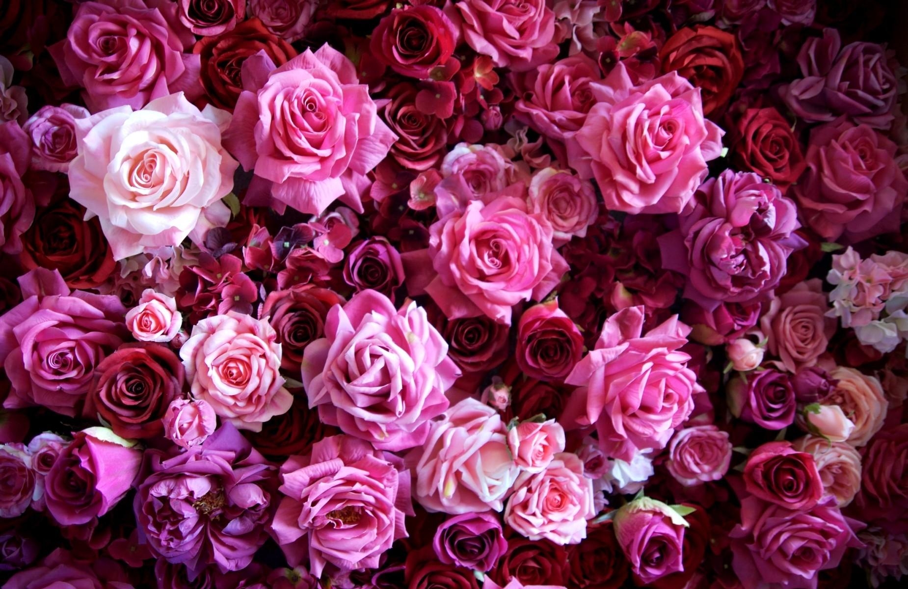 Download mobile wallpaper Bouquet, Lot, Buds, Flowers, Roses for free.