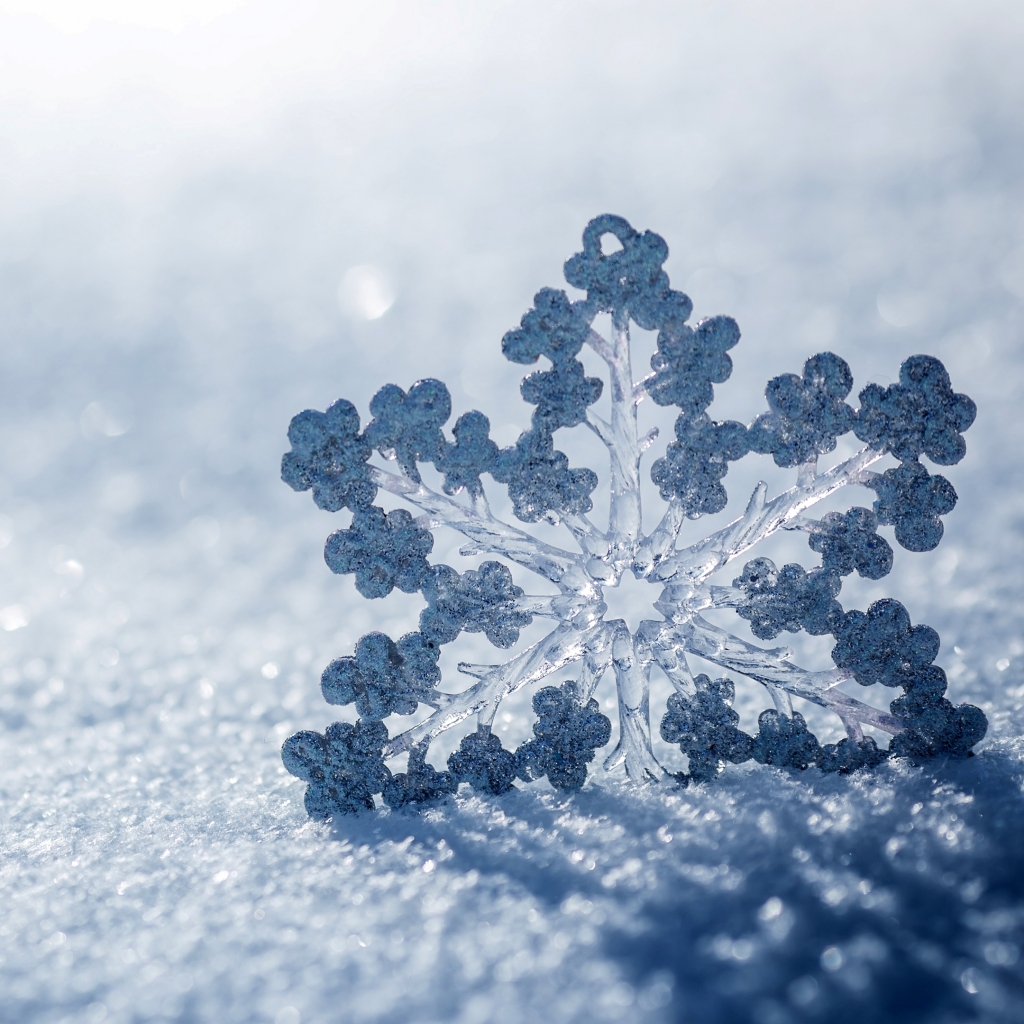 Descarga gratis la imagen Invierno, Naturaleza, Nieve, Copo De Nieve, Tierra/naturaleza en el escritorio de tu PC