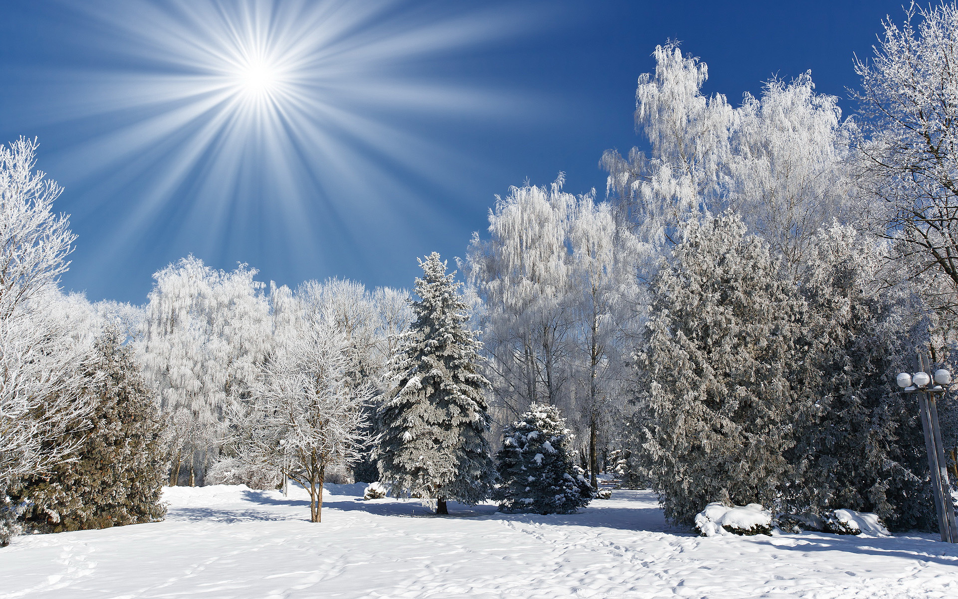 Free download wallpaper Winter, Earth on your PC desktop