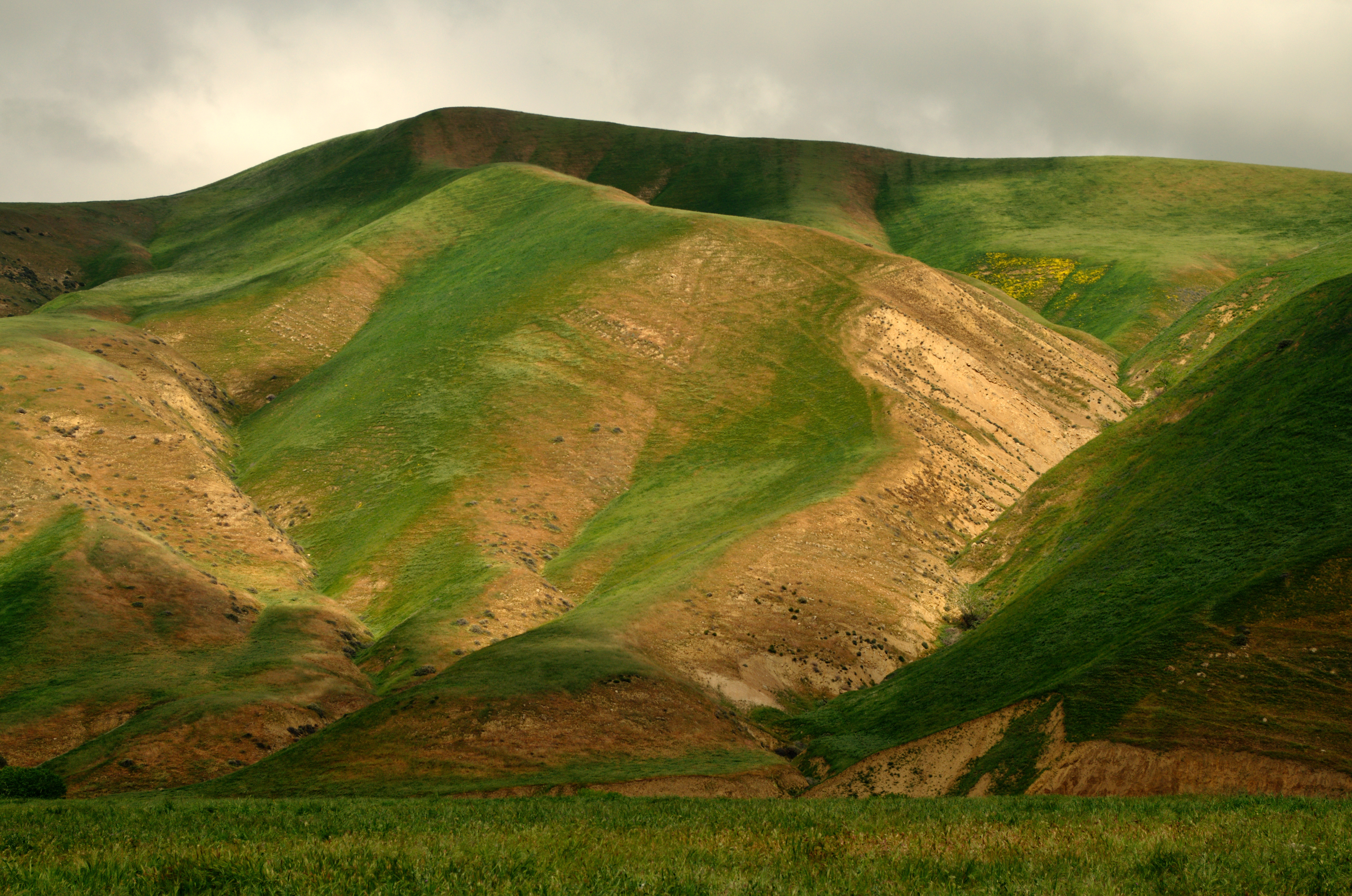 Free download wallpaper Grass, Relief, Hill, Nature, Landscape on your PC desktop