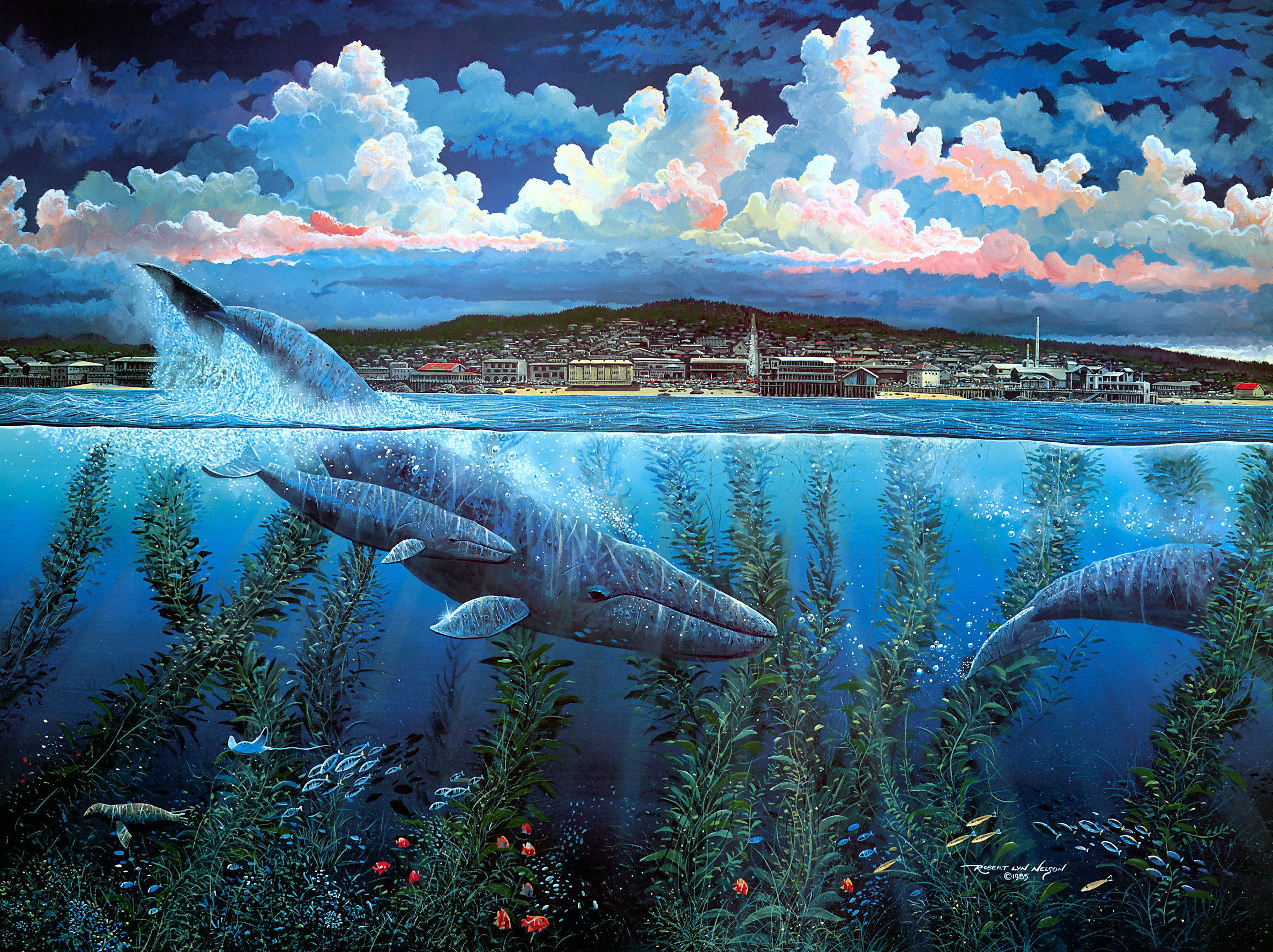 Free download wallpaper Animal, Painting, Whale, Underwater, Baby Animal on your PC desktop