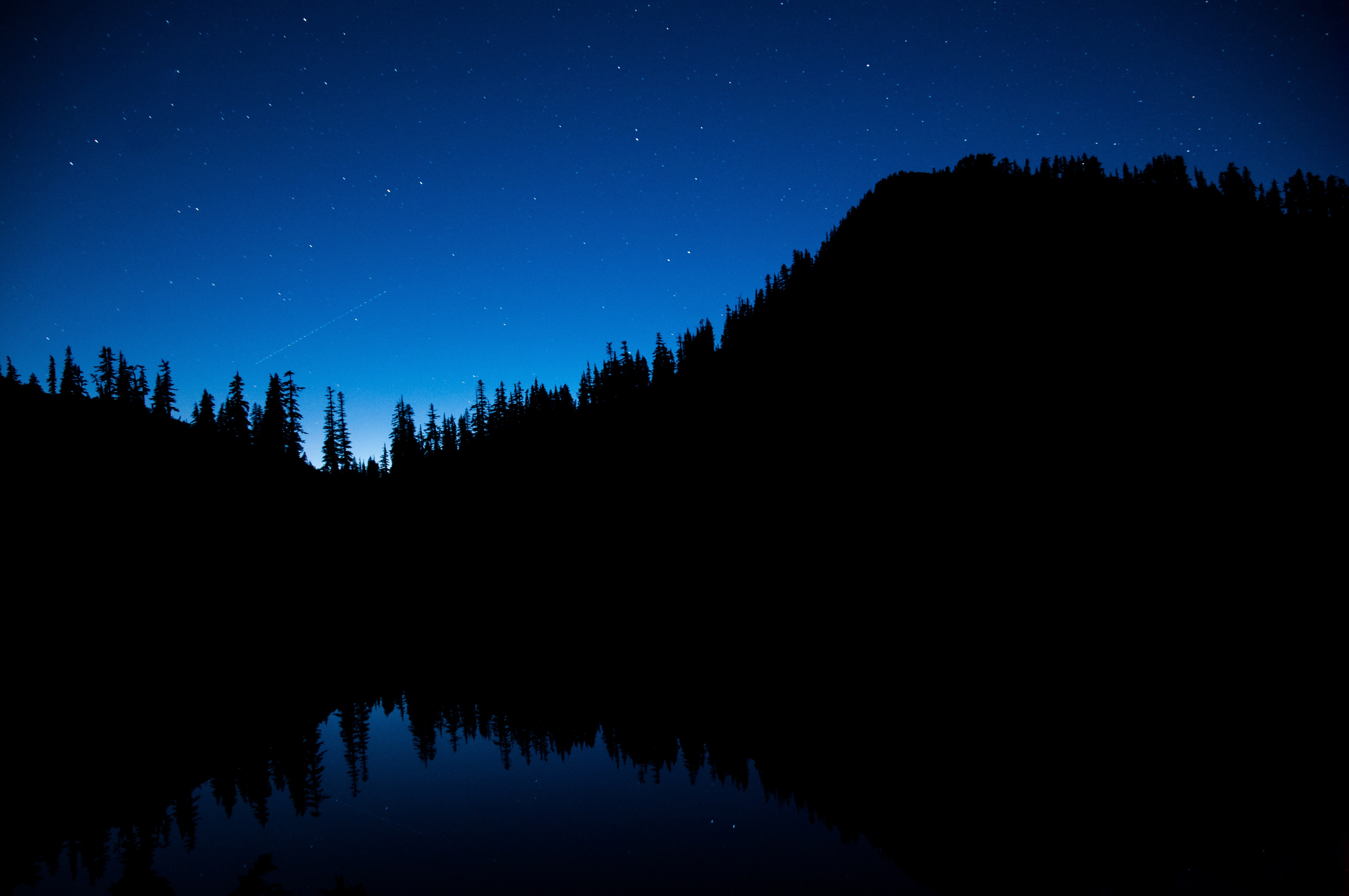 104626 Bild herunterladen bäume, dunkel, sternenhimmel, nachthimmel - Hintergrundbilder und Bildschirmschoner kostenlos
