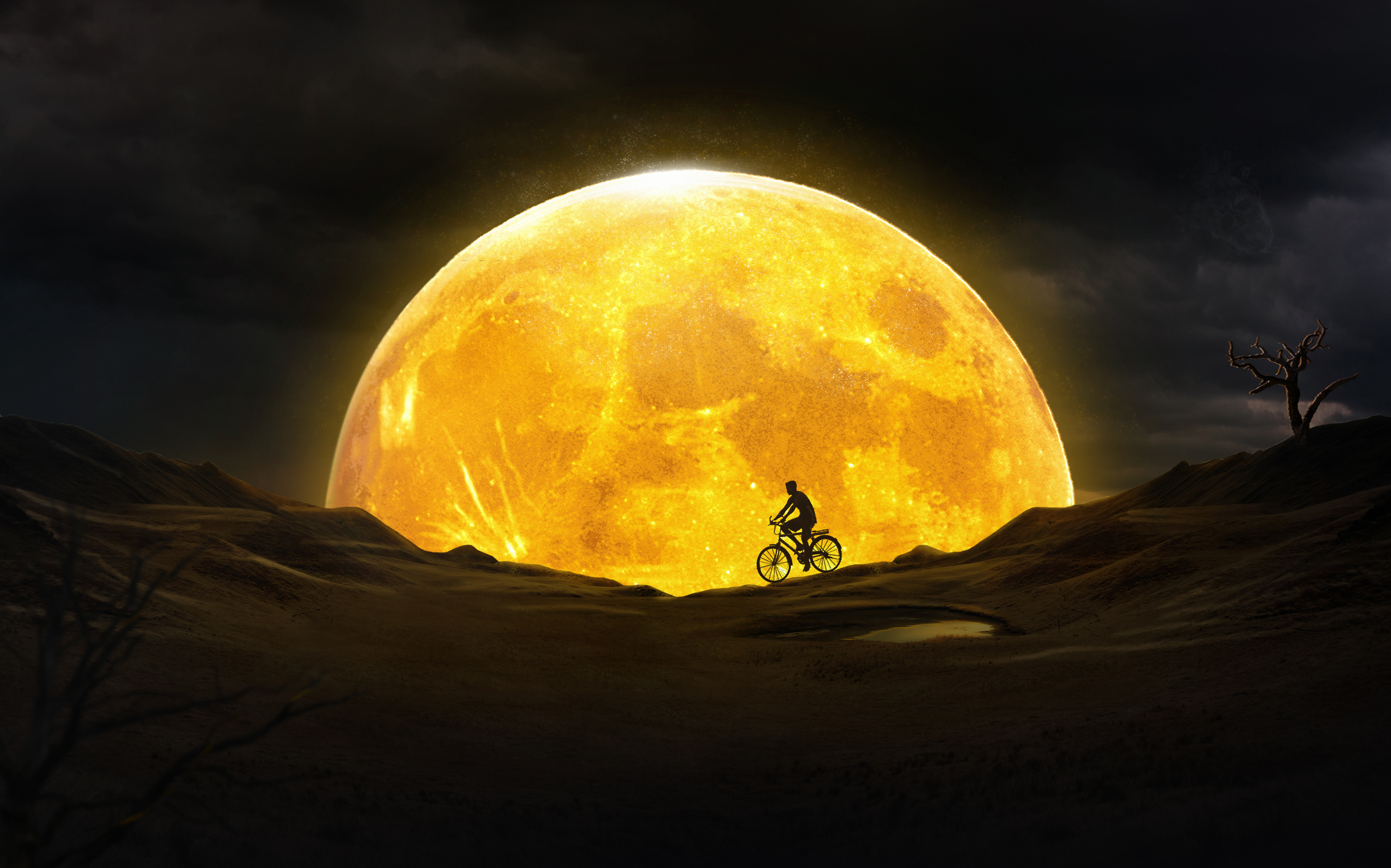 cyclist, night, moon, dark, silhouette
