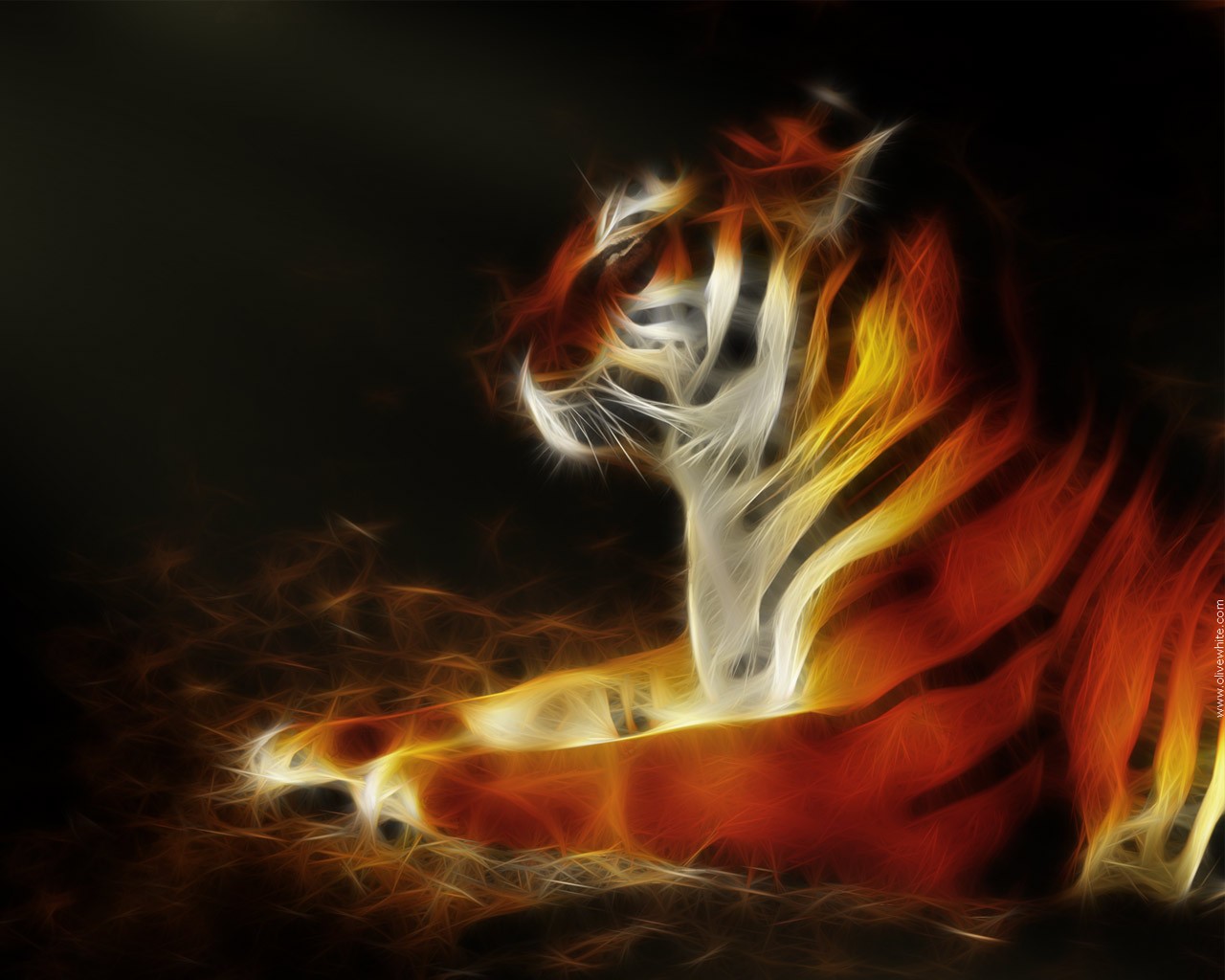 Free download wallpaper Tiger, Animal on your PC desktop