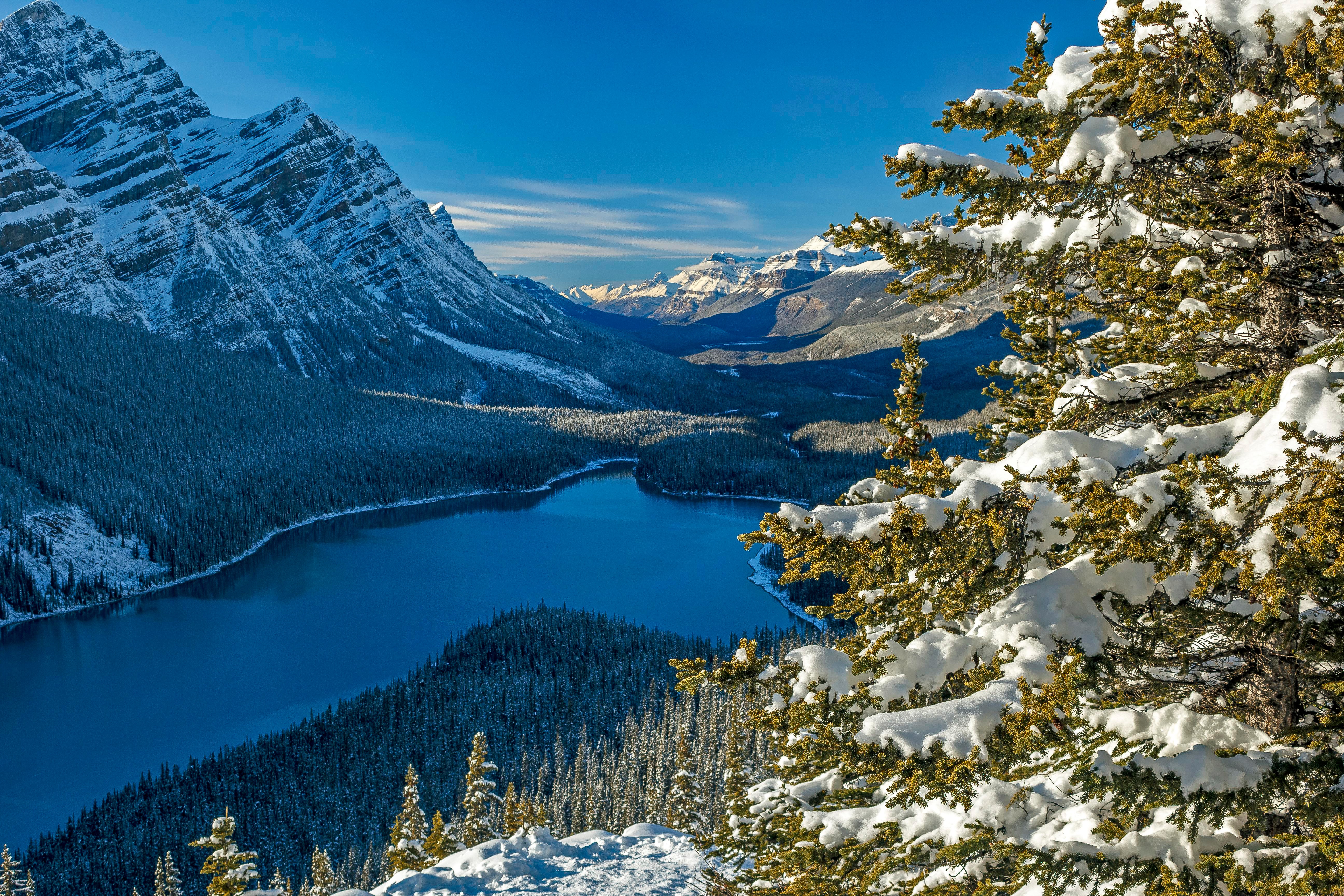 Download mobile wallpaper Lake, Canada, Earth, National Park, Banff National Park, Peyto Lake for free.