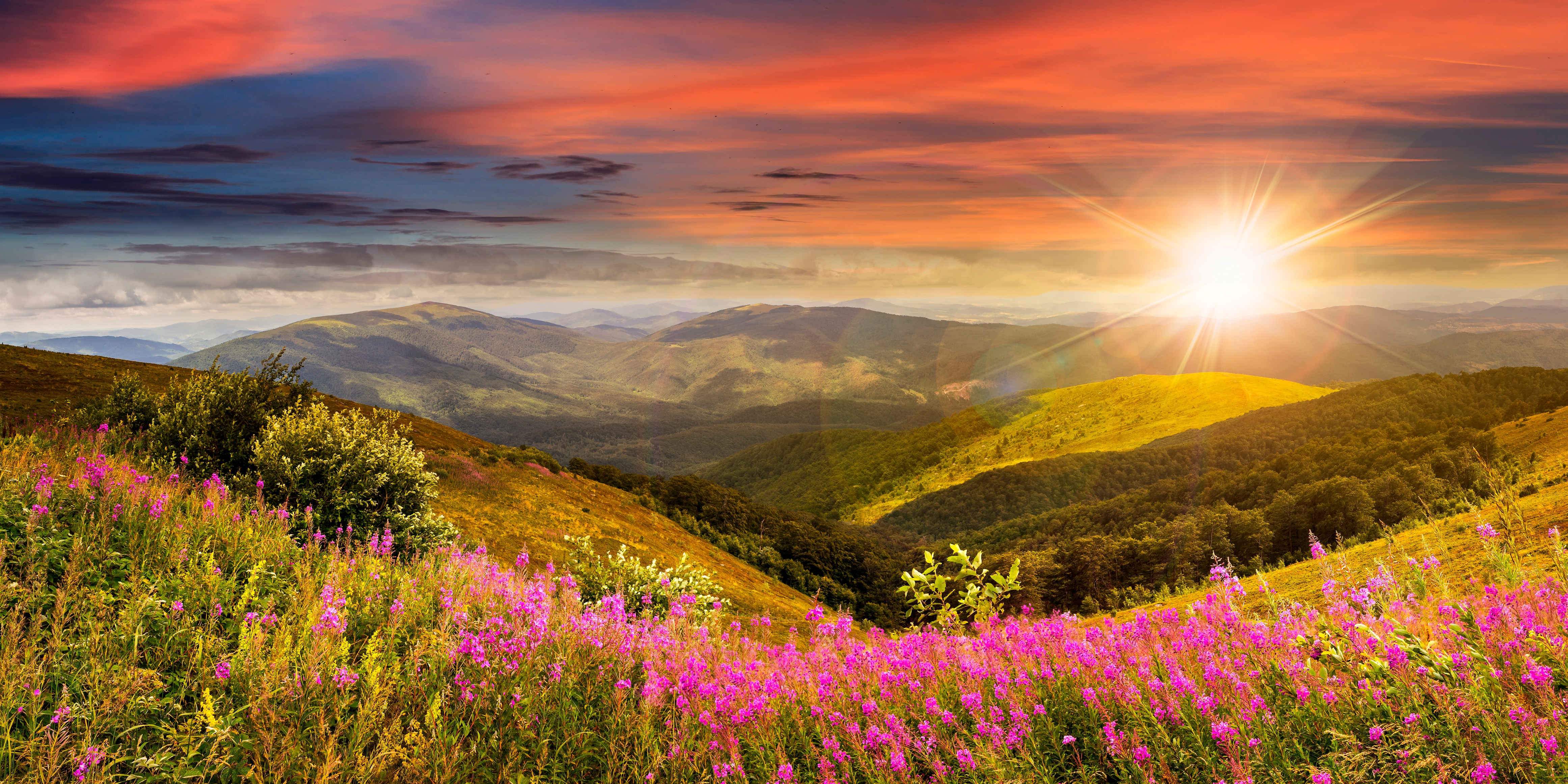 885952 завантажити картинку рожева квітка, схід сонця, небо, природа, земля, пейзаж, луг, гора - шпалери і заставки безкоштовно