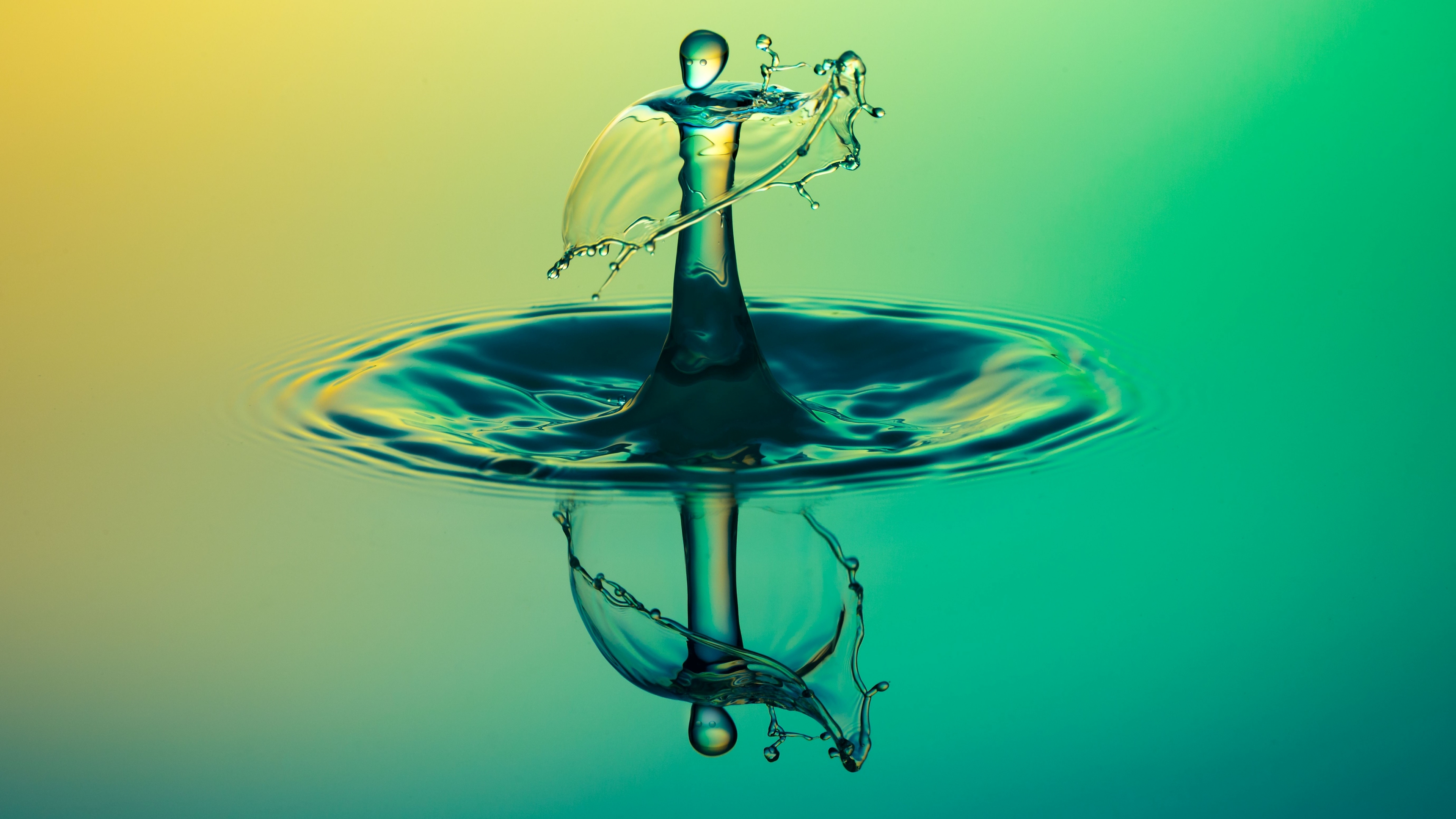 Baixe gratuitamente a imagem Água, Fotografia, Gota De Água, Reflecção na área de trabalho do seu PC