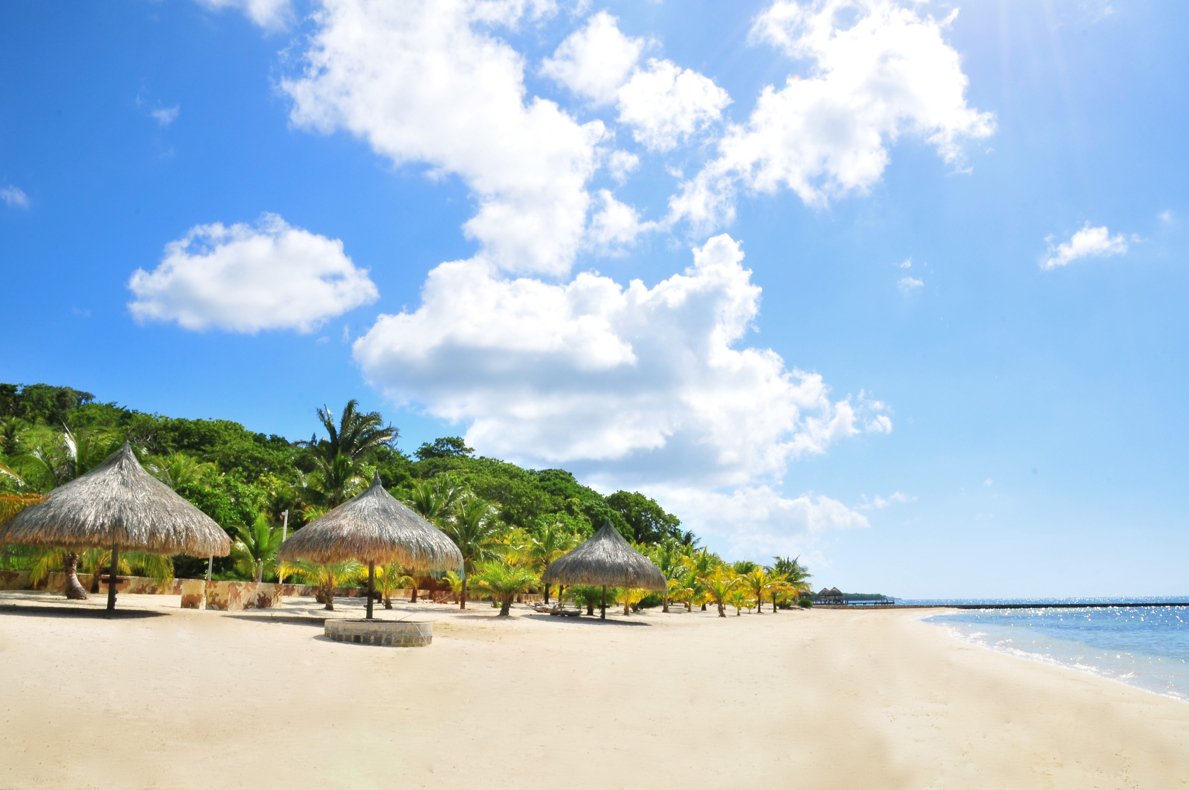 Laden Sie das Natur, Sand, Palms, Tropen, Strand-Bild kostenlos auf Ihren PC-Desktop herunter