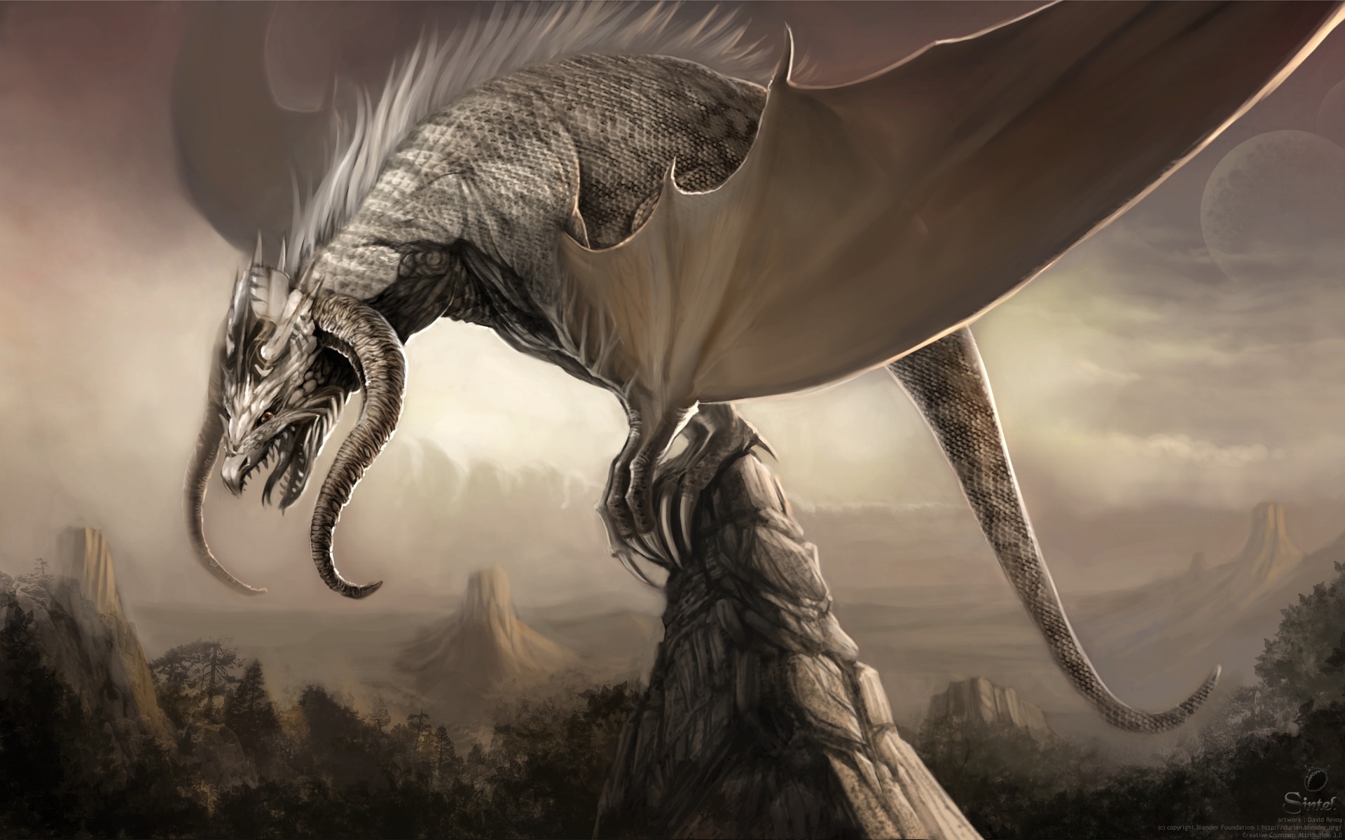 dragons, fantasy, orange Image for desktop