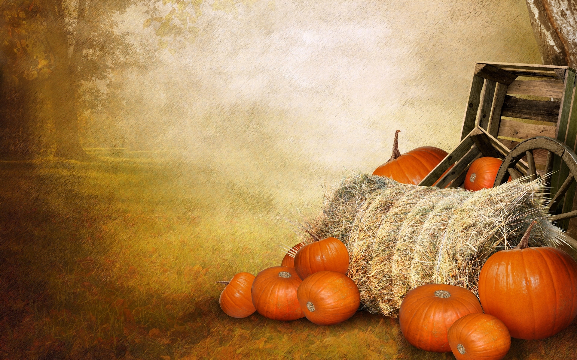 thanksgiving, food, pumpkin, fall