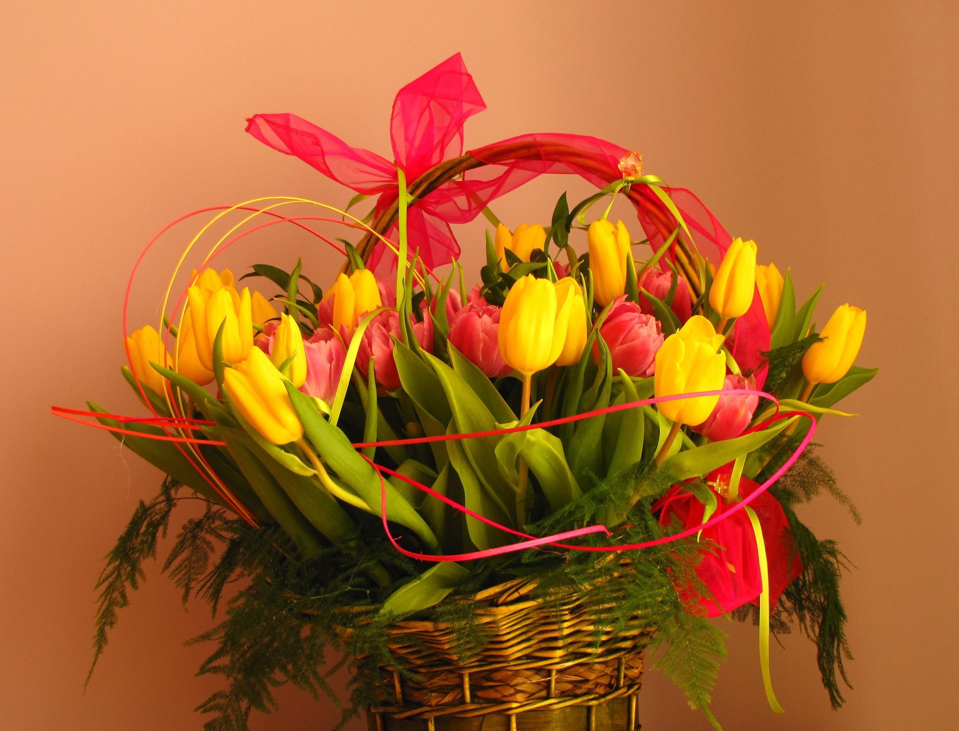 Download mobile wallpaper Basket, Bouquet, Bow, Greens, Typography, Registration, Flowers, Tulips for free.