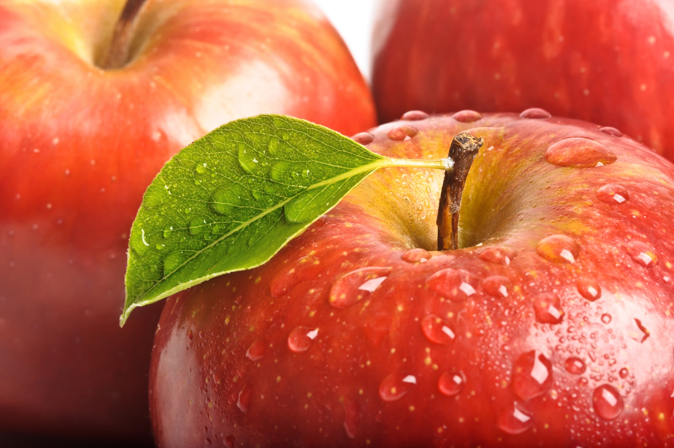 PC Wallpapers drops, food, fruits, apples, red