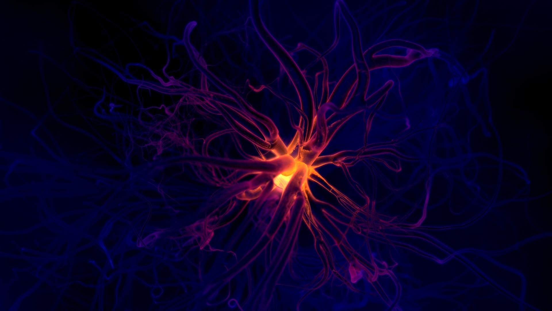 artistic, neuron