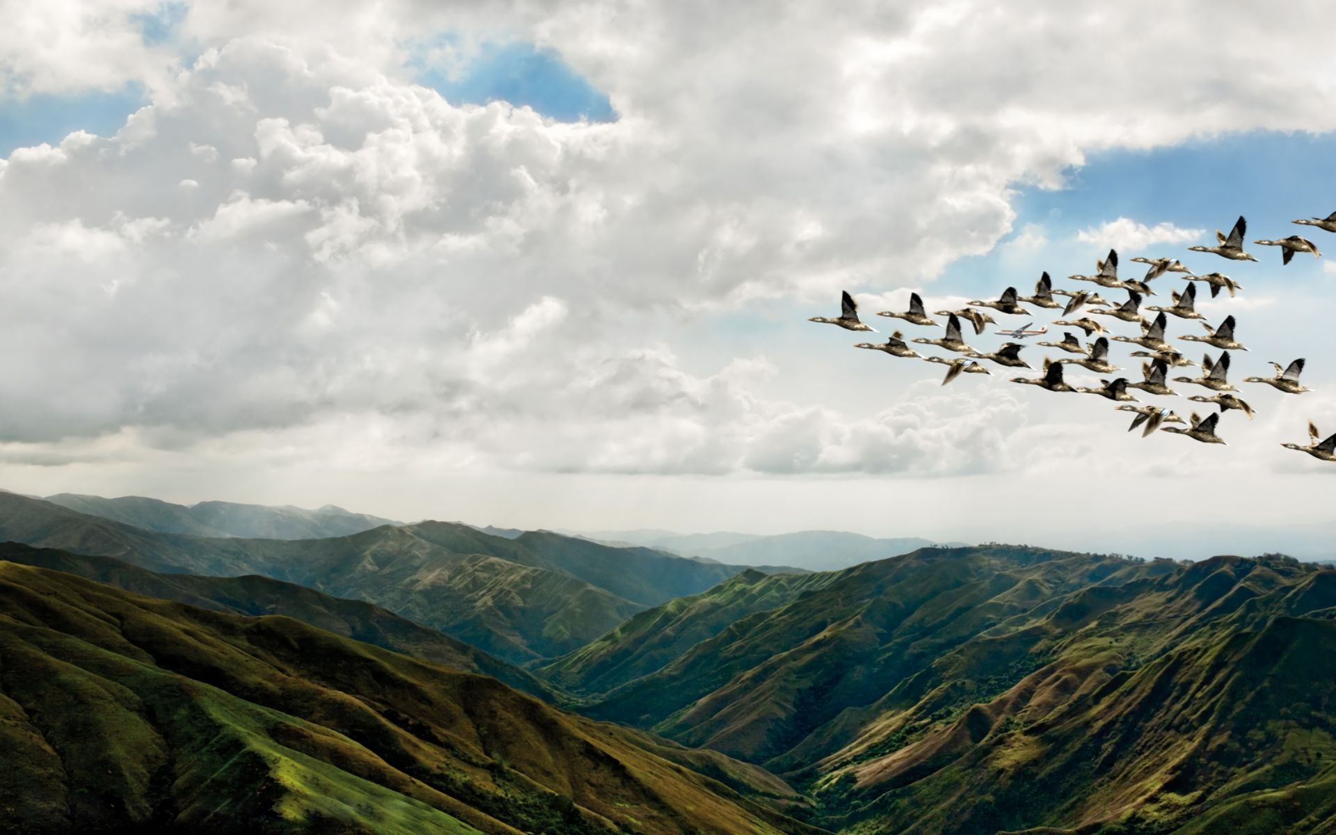 Скачать обои бесплатно Птицы, Горы, Гора, Зеленый, Земля/природа, Летающий картинка на рабочий стол ПК