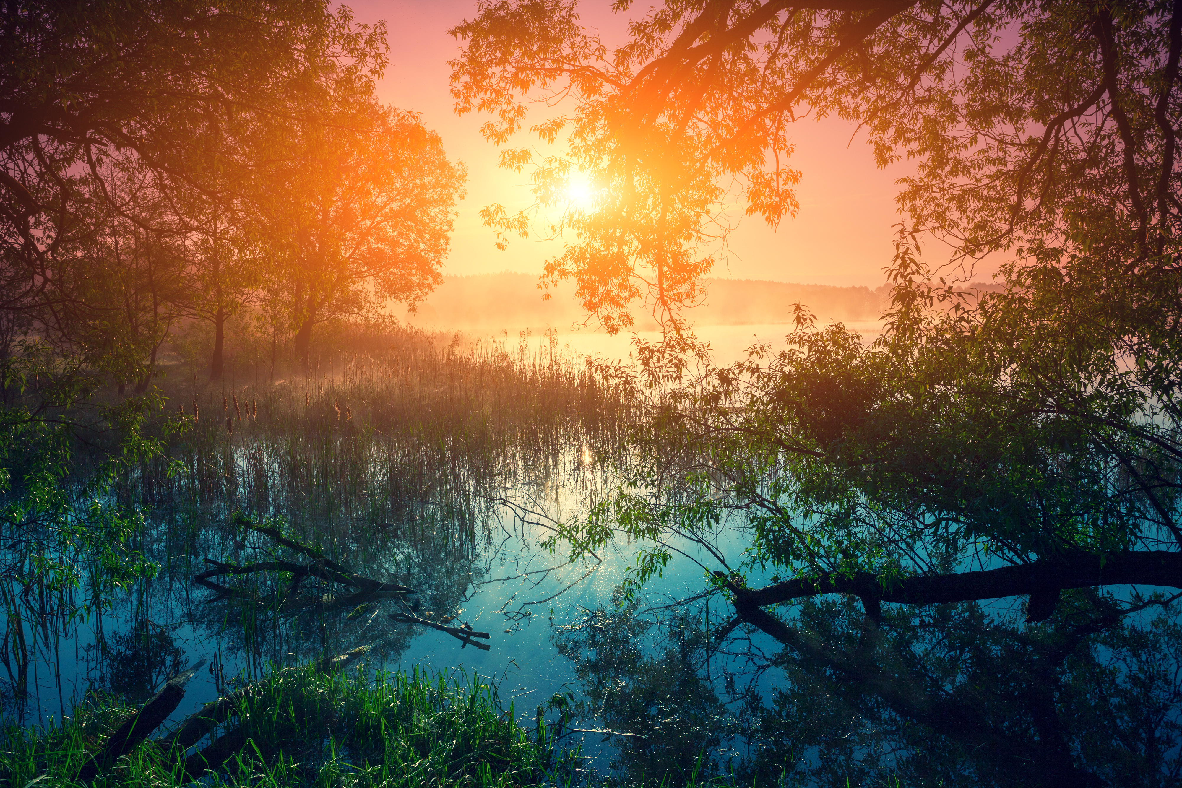 Free download wallpaper Nature, Reflection, Tree, Sunrise, Earth on your PC desktop