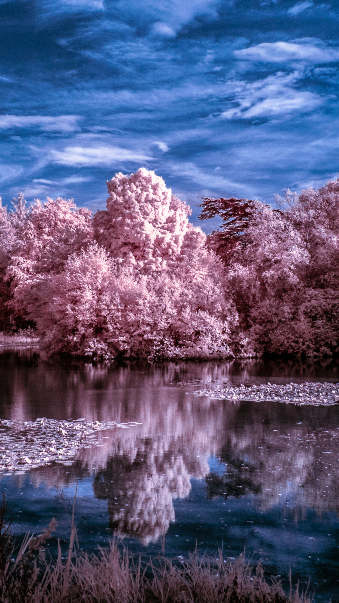 Descarga gratuita de fondo de pantalla para móvil de Naturaleza, Agua, Lago, Nube, Tierra/naturaleza, Reflejo.