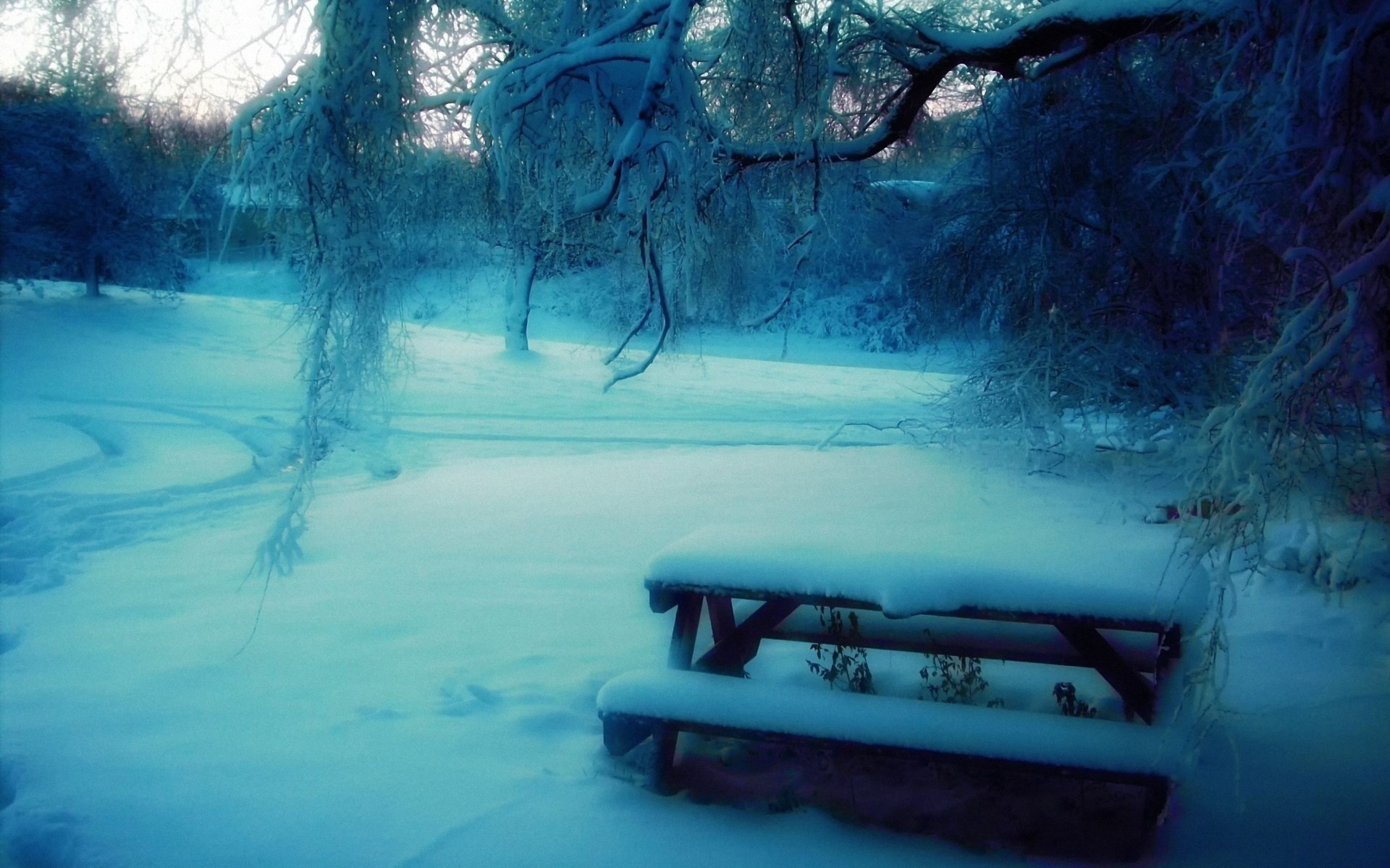 Скачать обои бесплатно Зима, Фотографии картинка на рабочий стол ПК