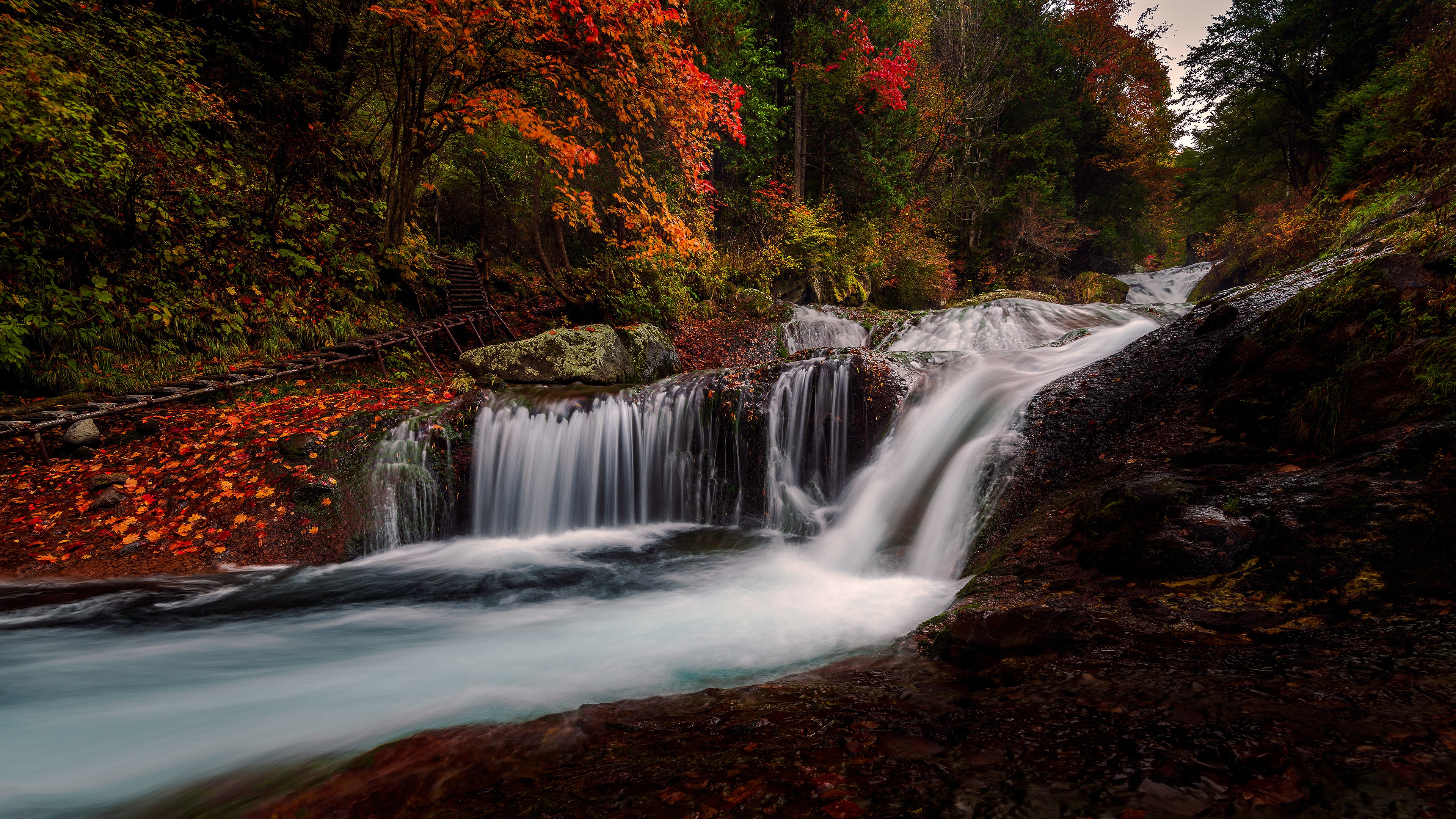 Скачать картинку Осень, Водопады, Водопад, Камень, Земля/природа в телефон бесплатно.