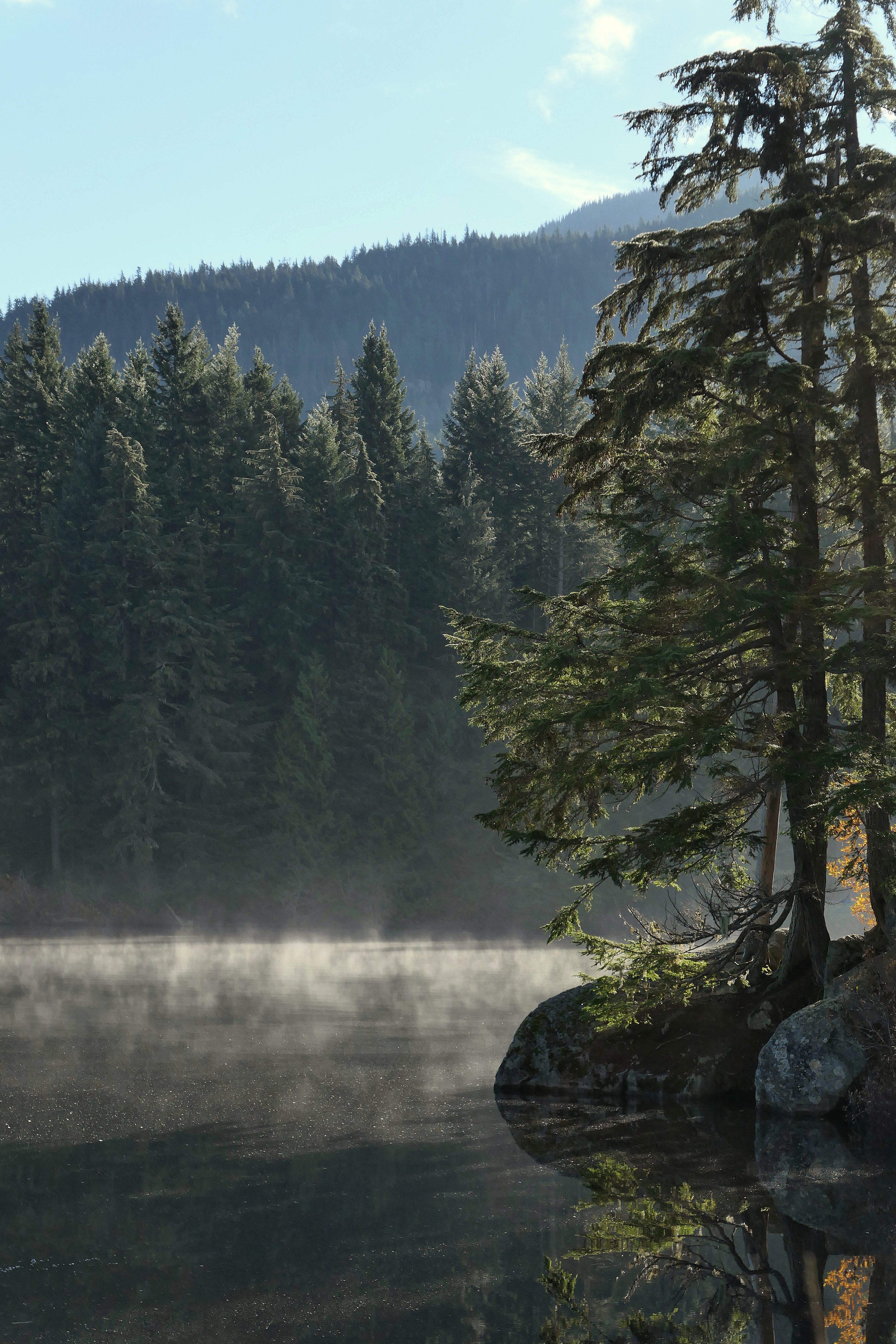 Download mobile wallpaper Shore, Bank, Fog, Trees, Lake, Water, Nature for free.