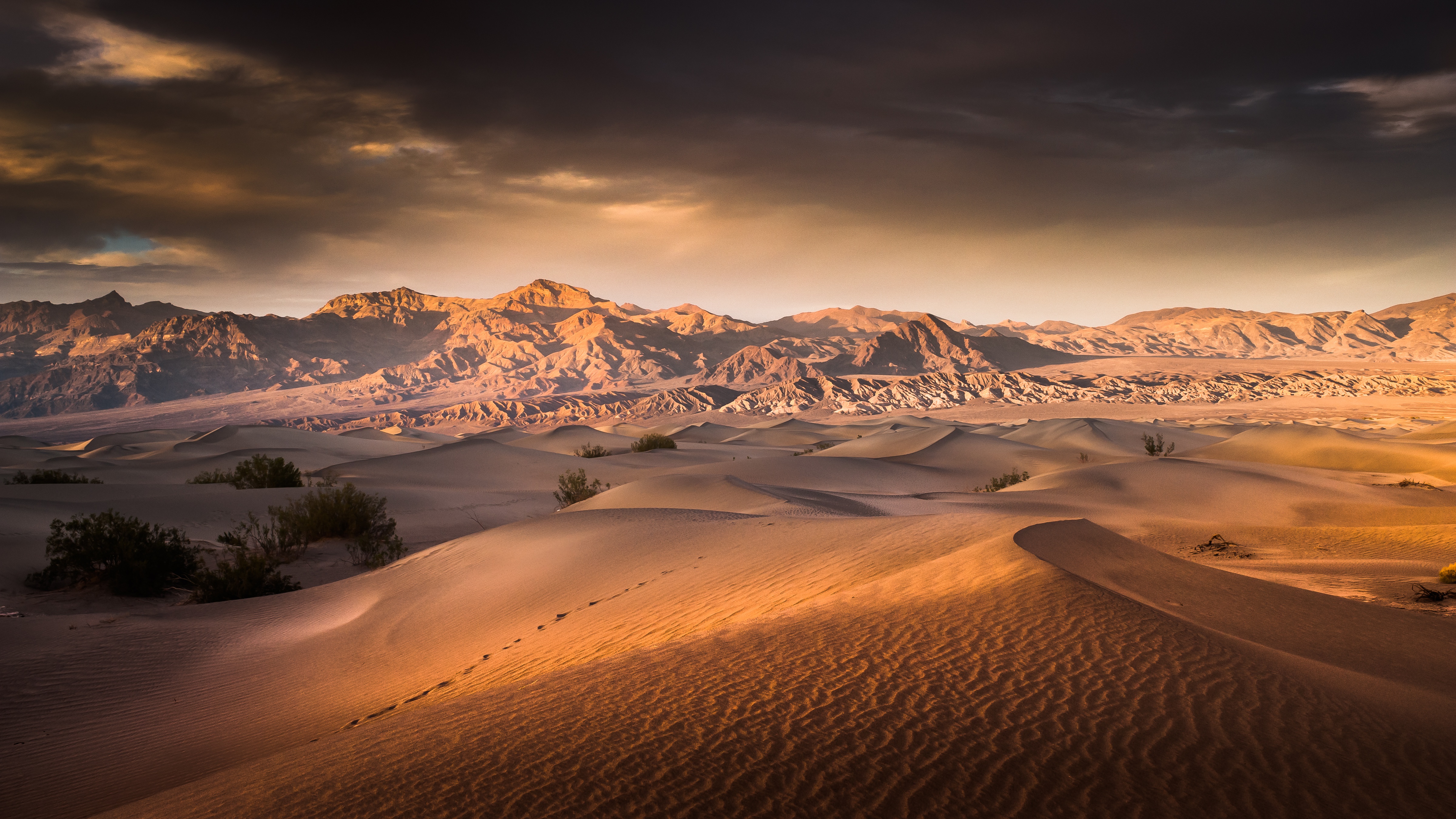 809887 descargar fondo de pantalla tierra/naturaleza, desierto, duna, paisaje, naturaleza, arena: protectores de pantalla e imágenes gratis