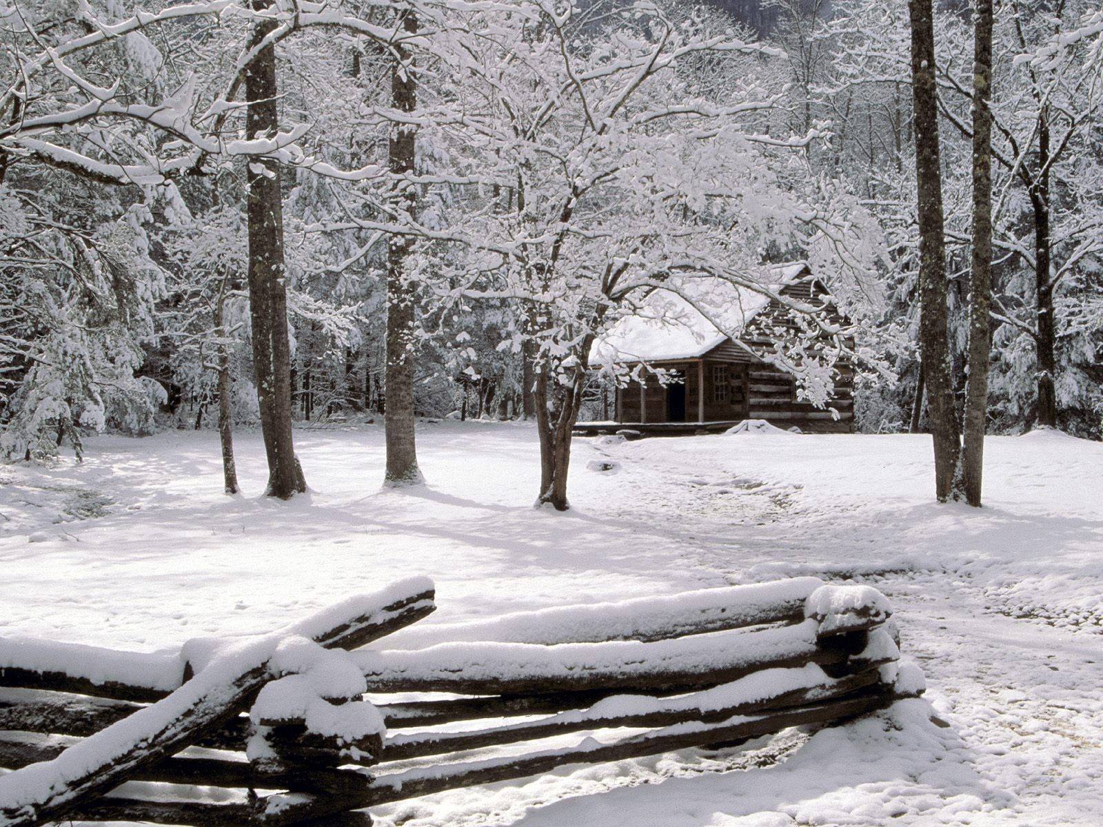 131643壁紙のダウンロード冬, 自然, 木, 森林, 森, 小さな家, 泊める, フェンス, 塀, 霜, ログ, テネシー, テネシー州-スクリーンセーバーと写真を無料で