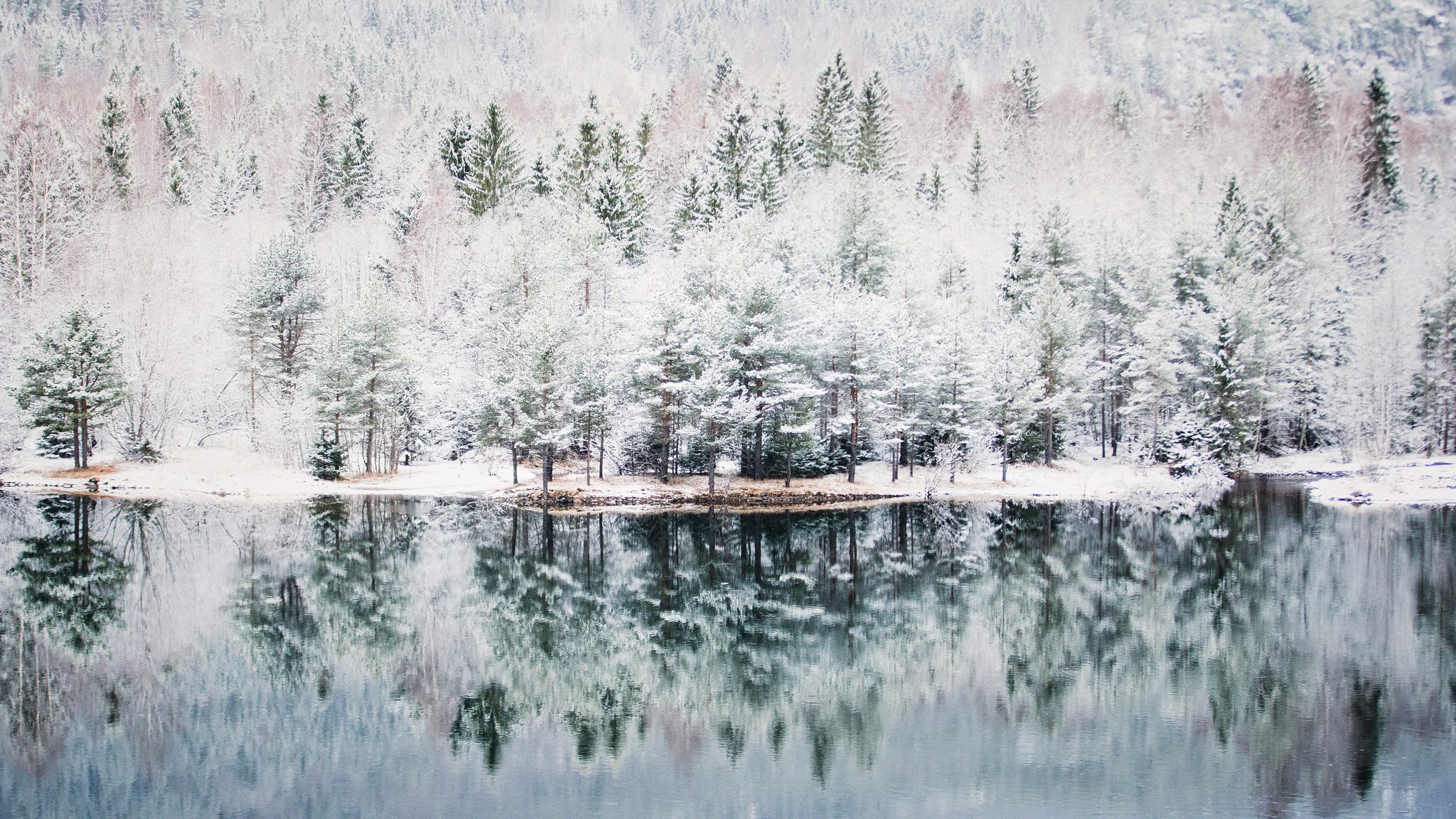 Baixe gratuitamente a imagem Inverno, Natureza, Lago, Floresta, Terra/natureza, Reflecção na área de trabalho do seu PC