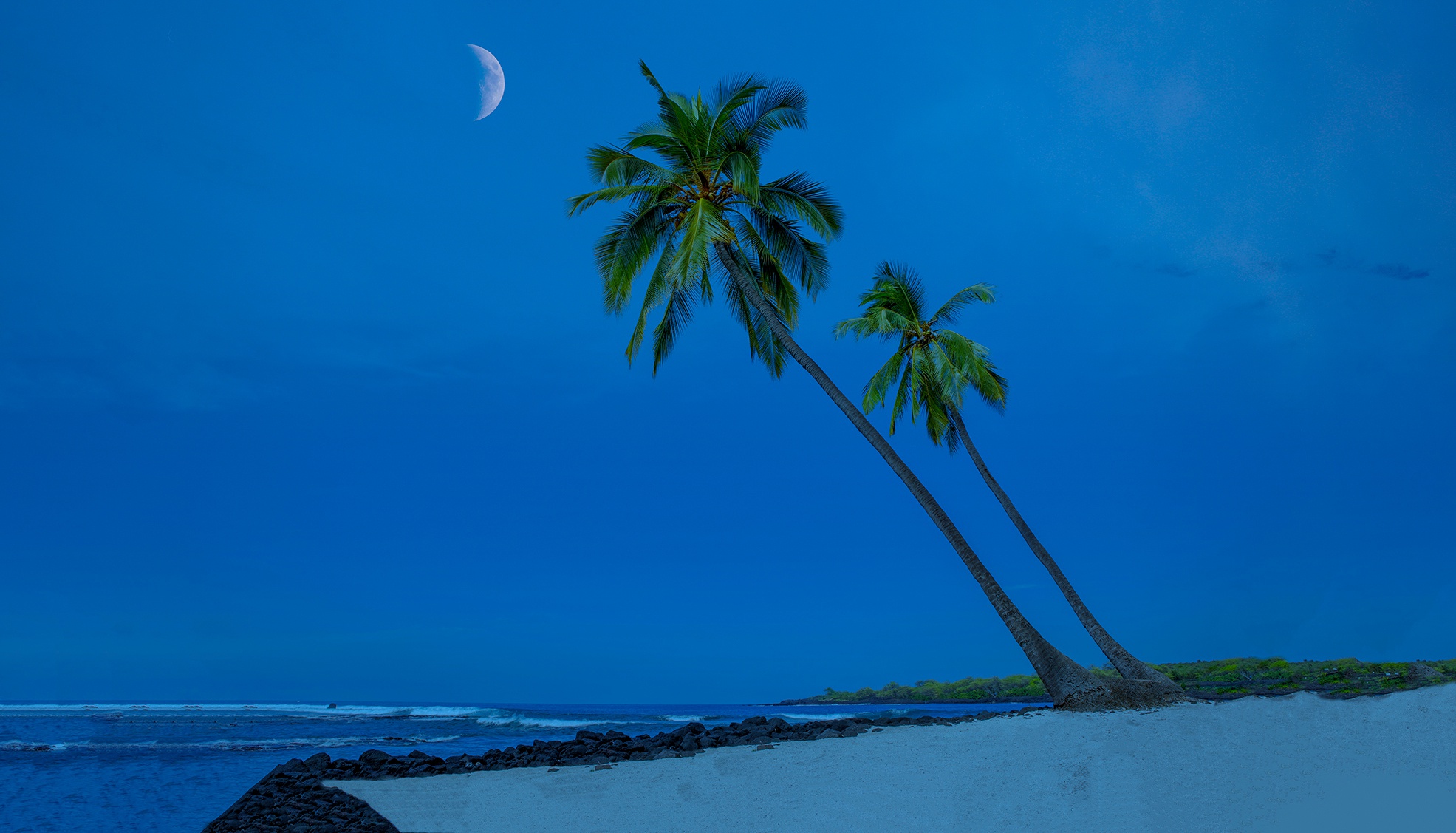 Free download wallpaper Beach, Horizon, Earth, Hawaii, Palm Tree on your PC desktop