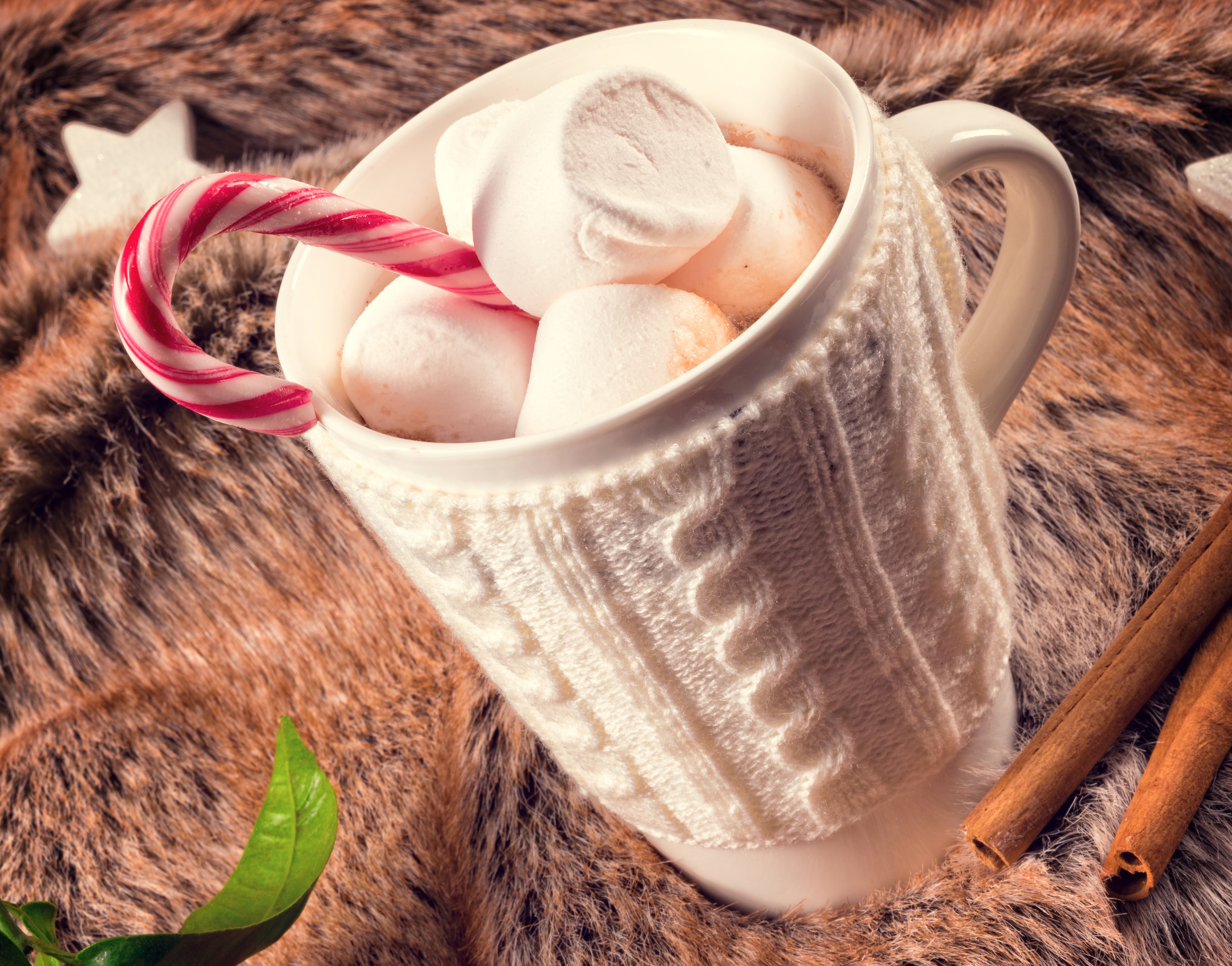 Download mobile wallpaper Food, Cup, Marshmallow, Candy Cane for free.