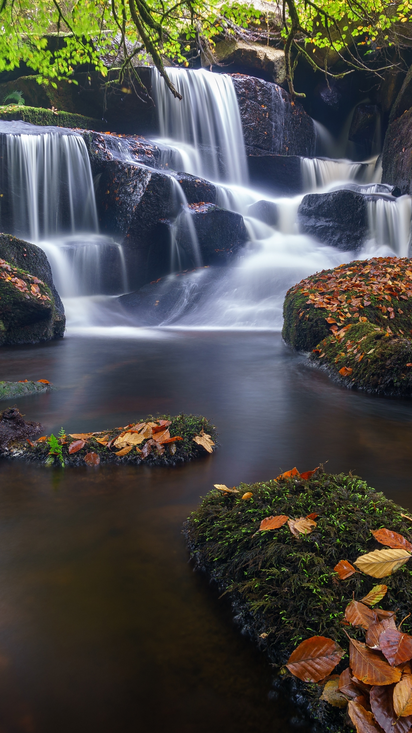 Download mobile wallpaper Nature, Waterfalls, Waterfall, Earth, Foam, Moss, Stream for free.