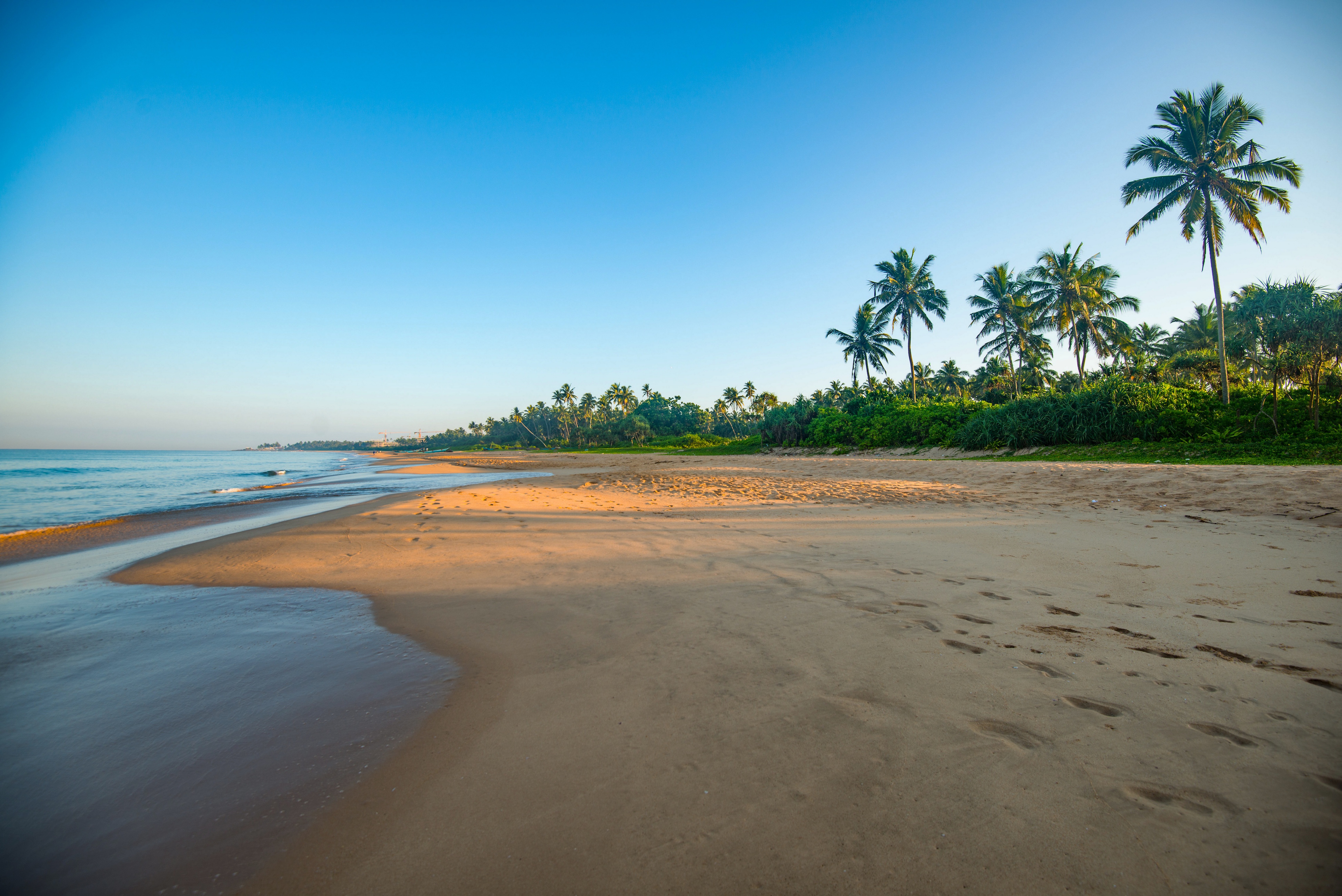 987502 descargar imagen tierra/naturaleza, playa, costa, palmera, sri lanka: fondos de pantalla y protectores de pantalla gratis