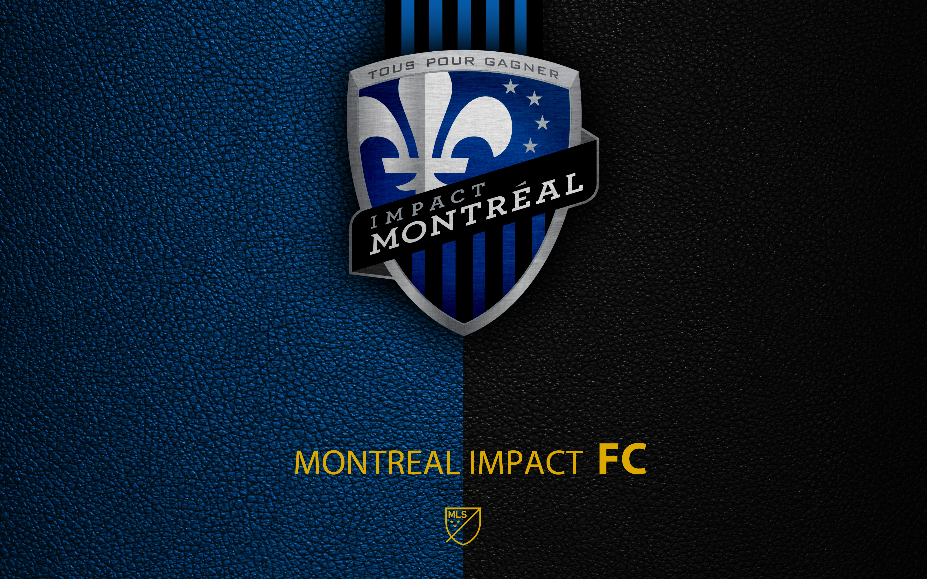 Baixar papel de parede para celular de Esportes, Futebol, Logotipo, Emblema, Mls, Cf Montreal gratuito.