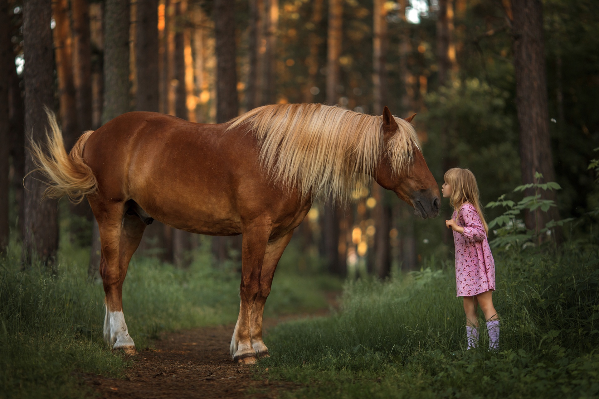 PCデスクトップに馬, 子, 写真撮影, 少女画像を無料でダウンロード