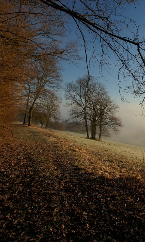 Handy-Wallpaper Herbst, Erde/natur kostenlos herunterladen.